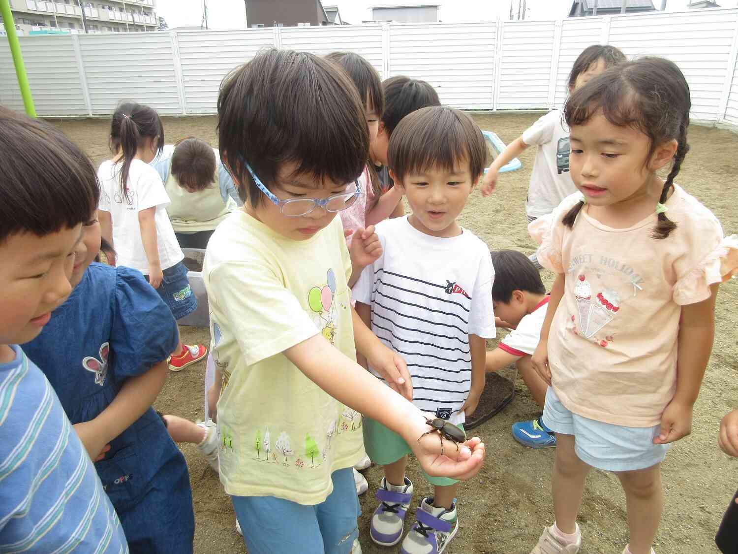 見て見て!!カブト虫が登ってきた♪
