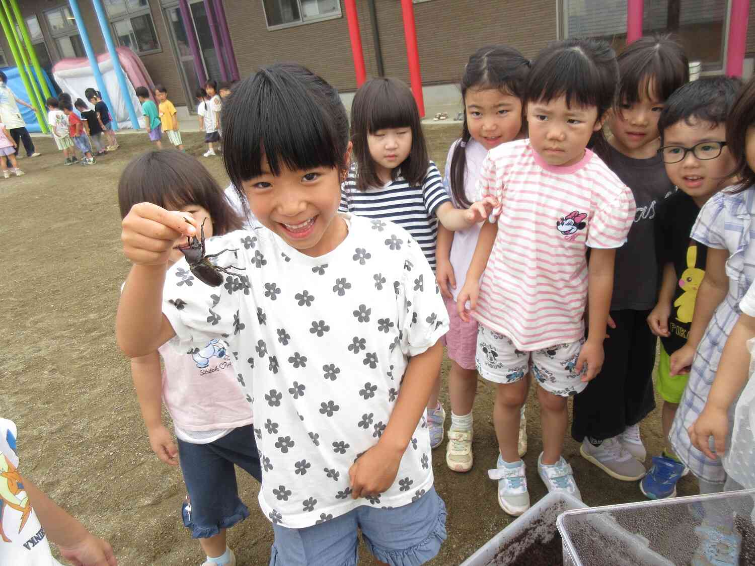 カブト虫かっこい～！！！