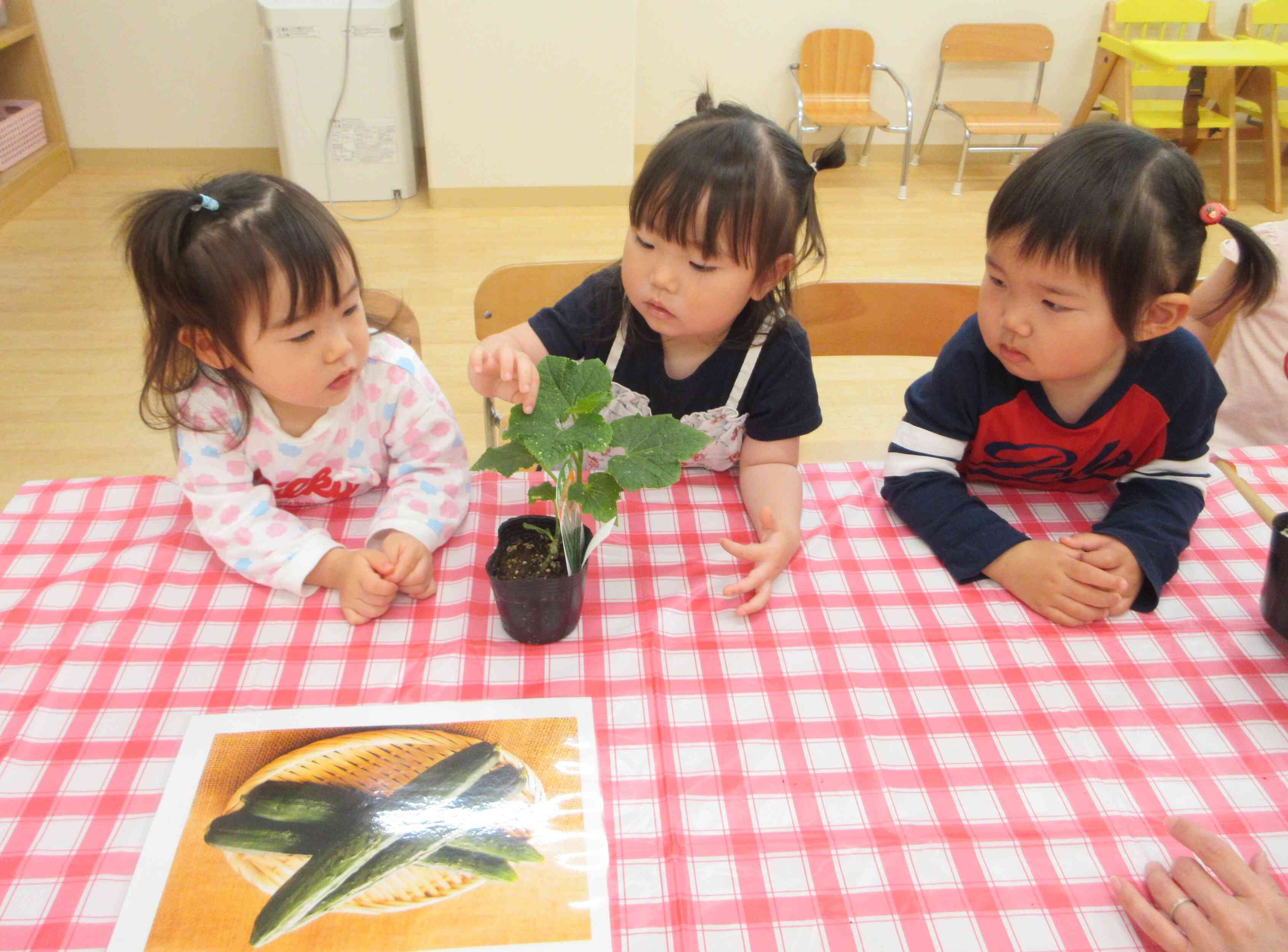 5月の食育活動