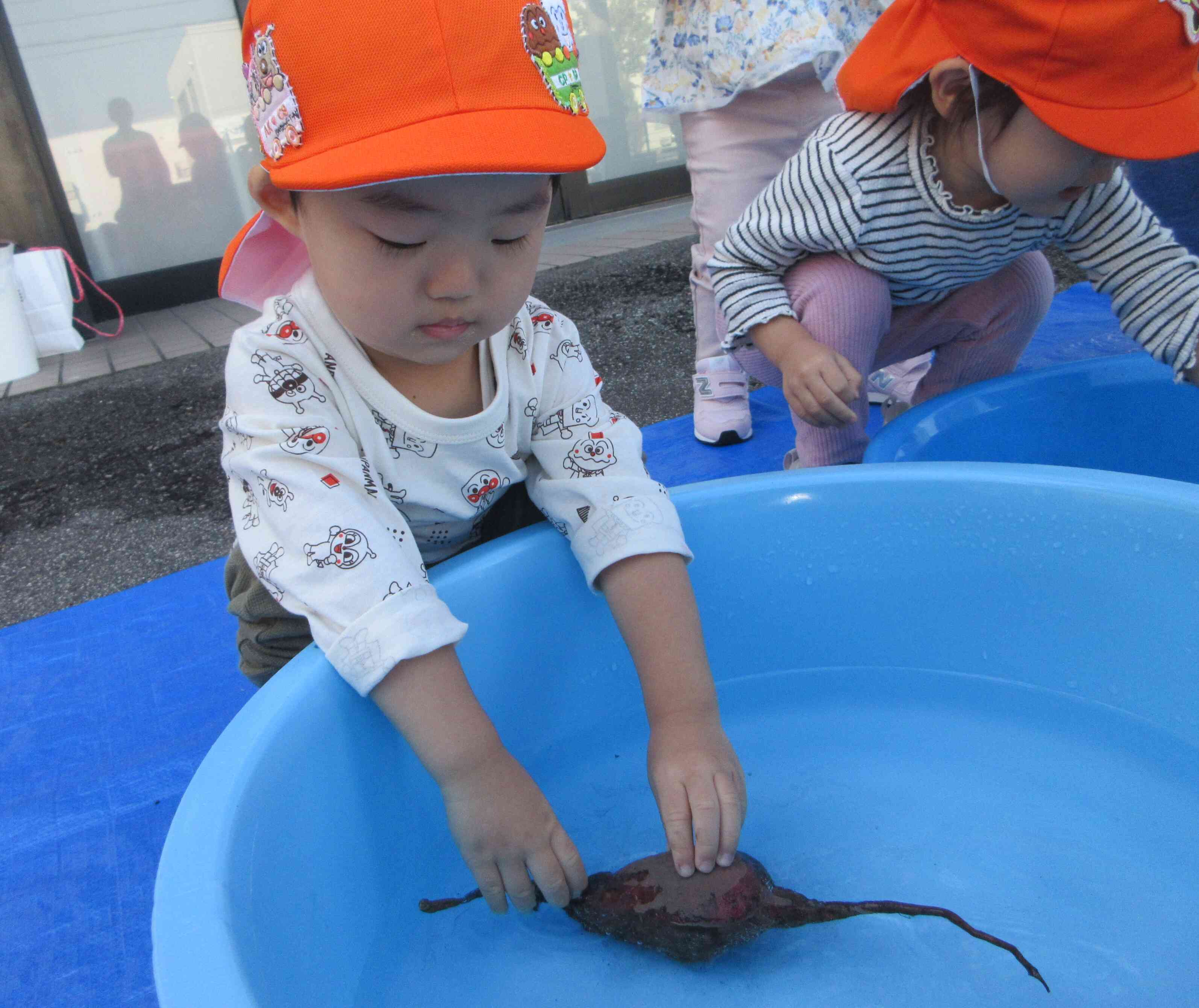 きれいになーれ!
