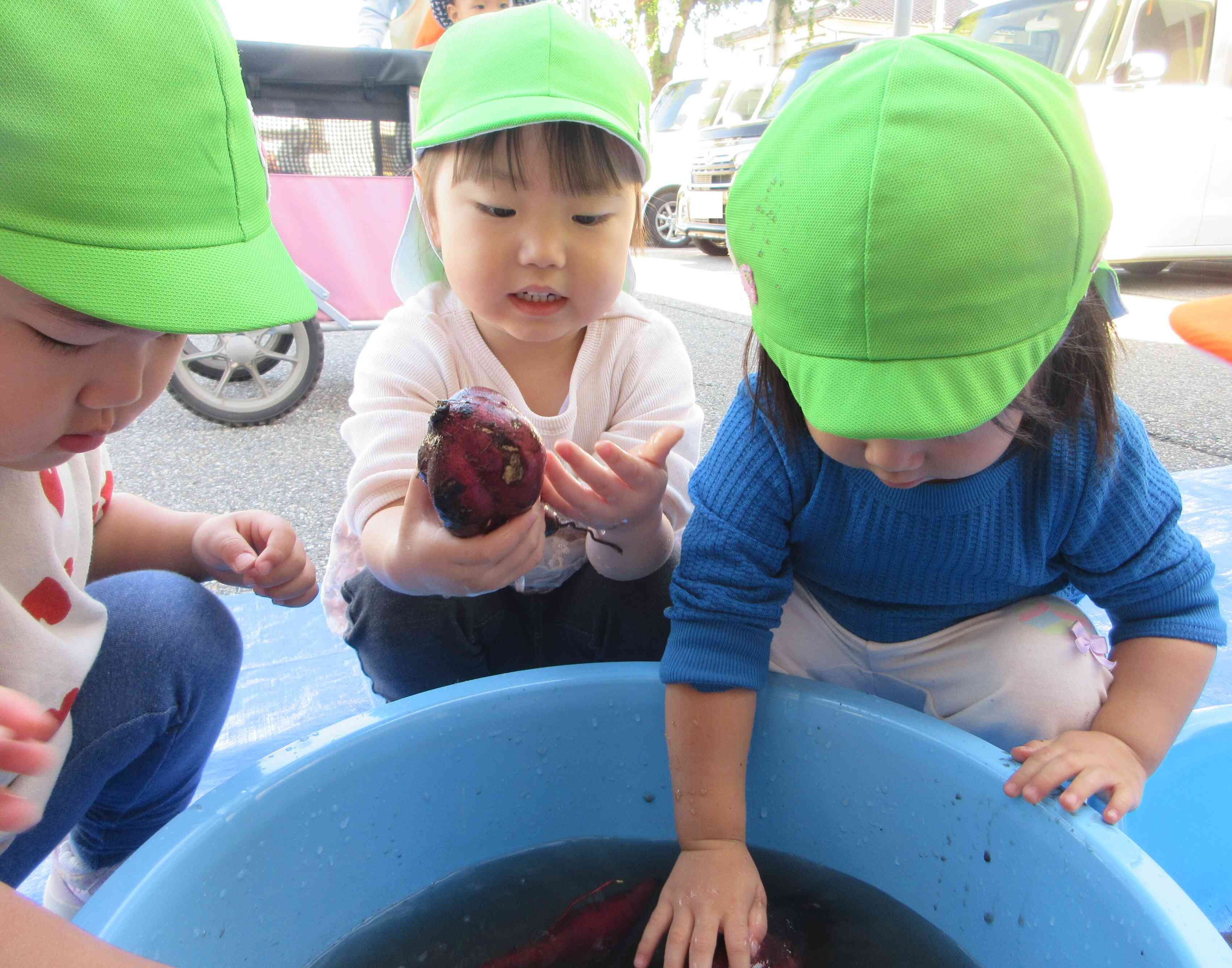 おいもの色だ！