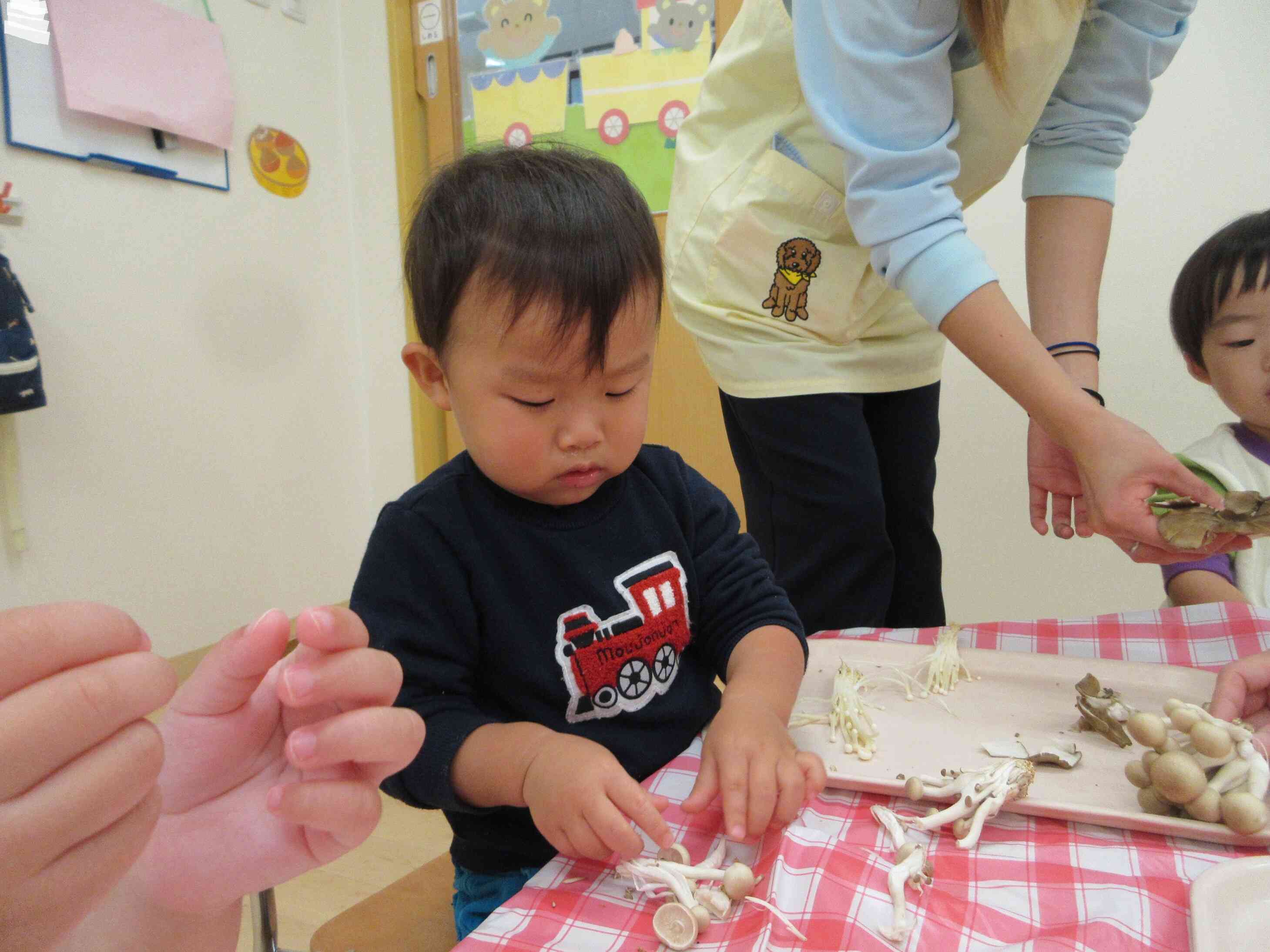 上手く割くことができるかな?