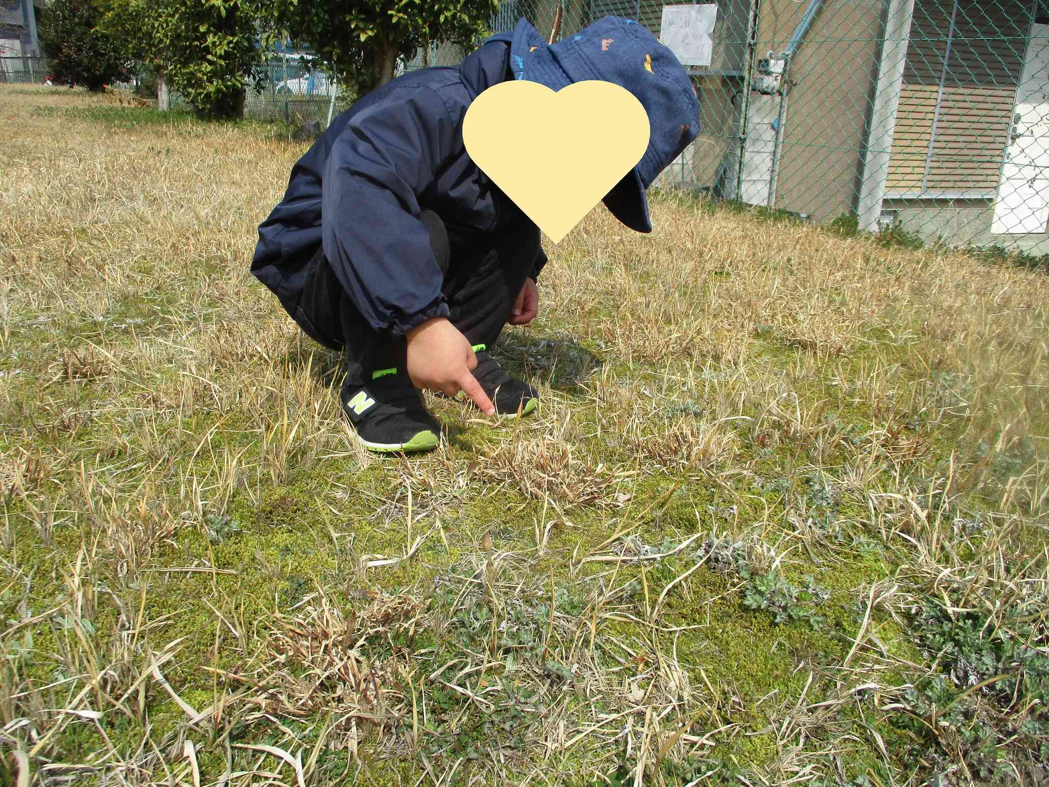 見つけた