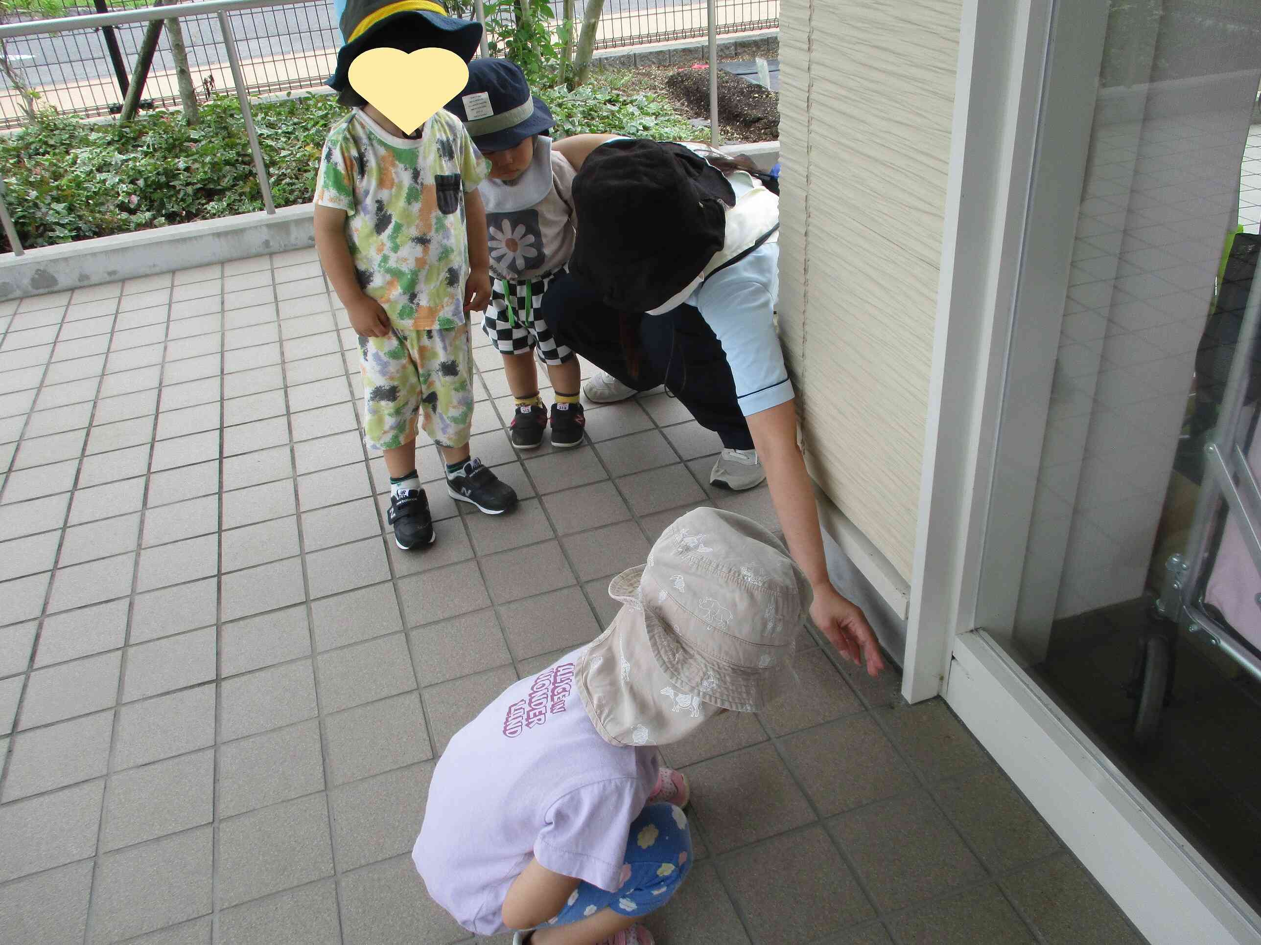 ダンゴムシ