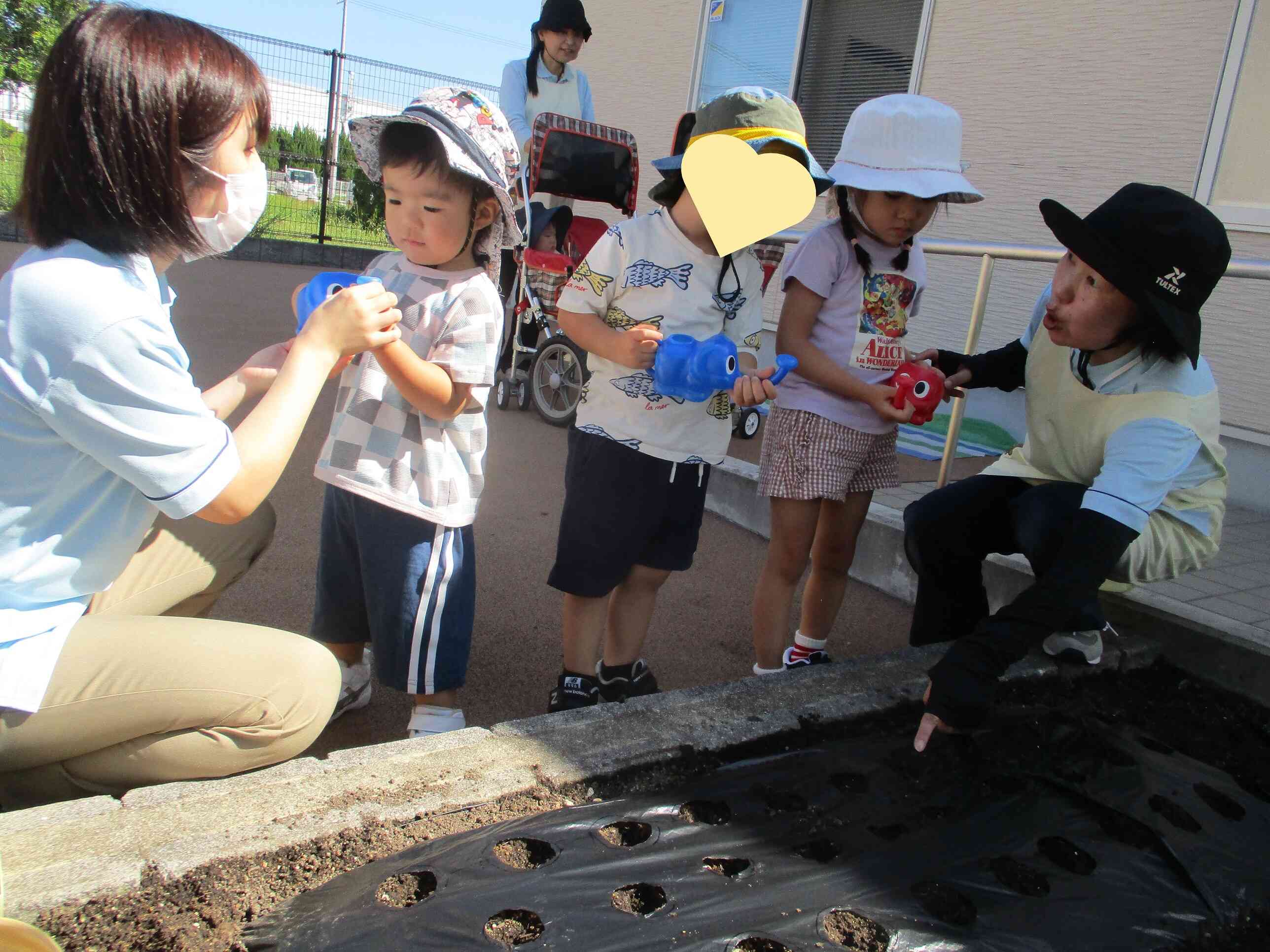 水やり