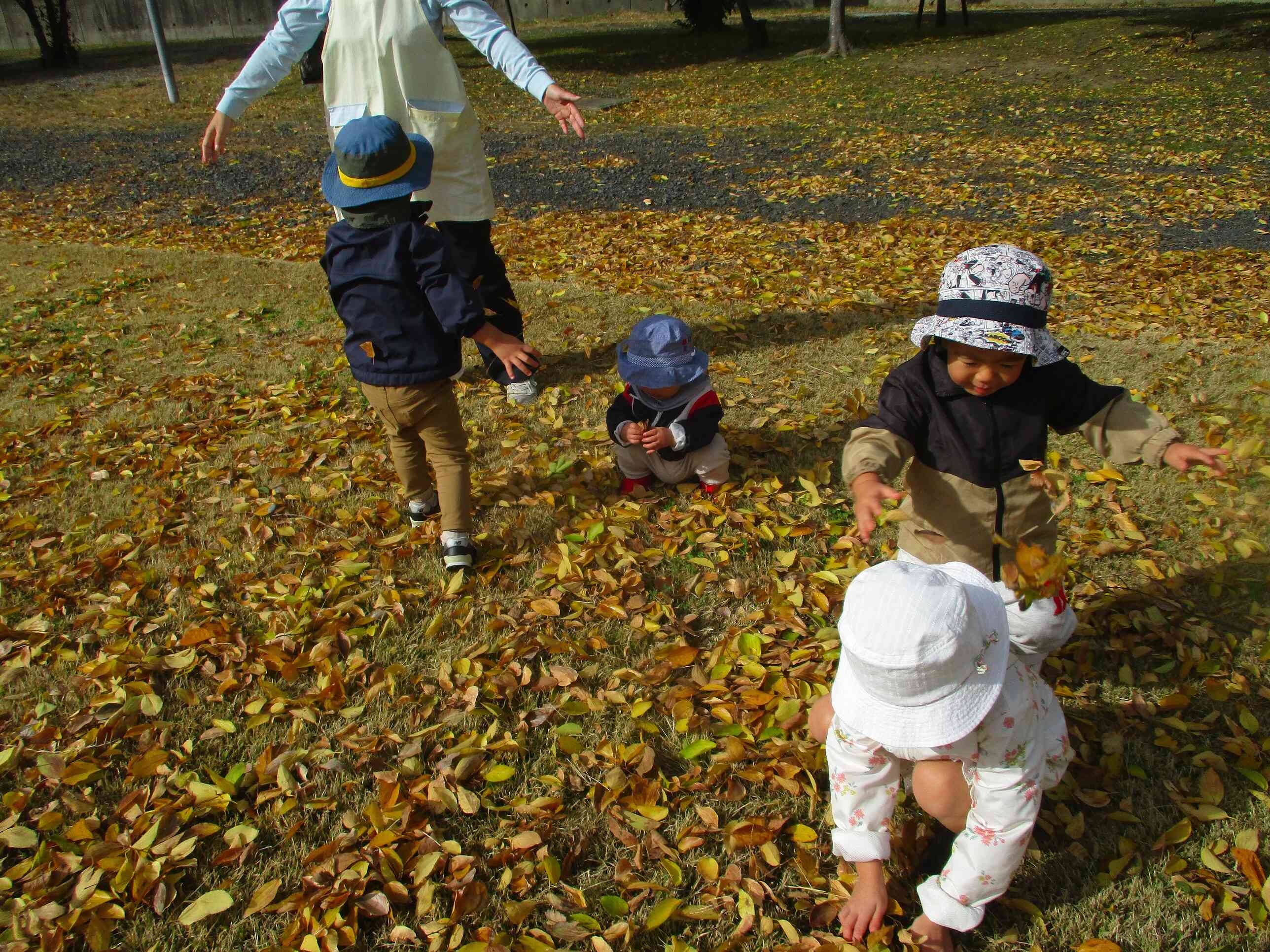 落ち葉あそび