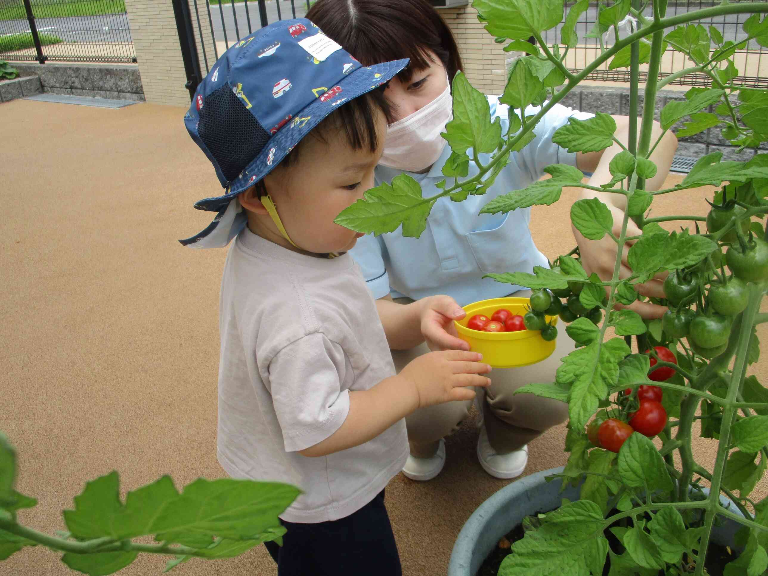 食育