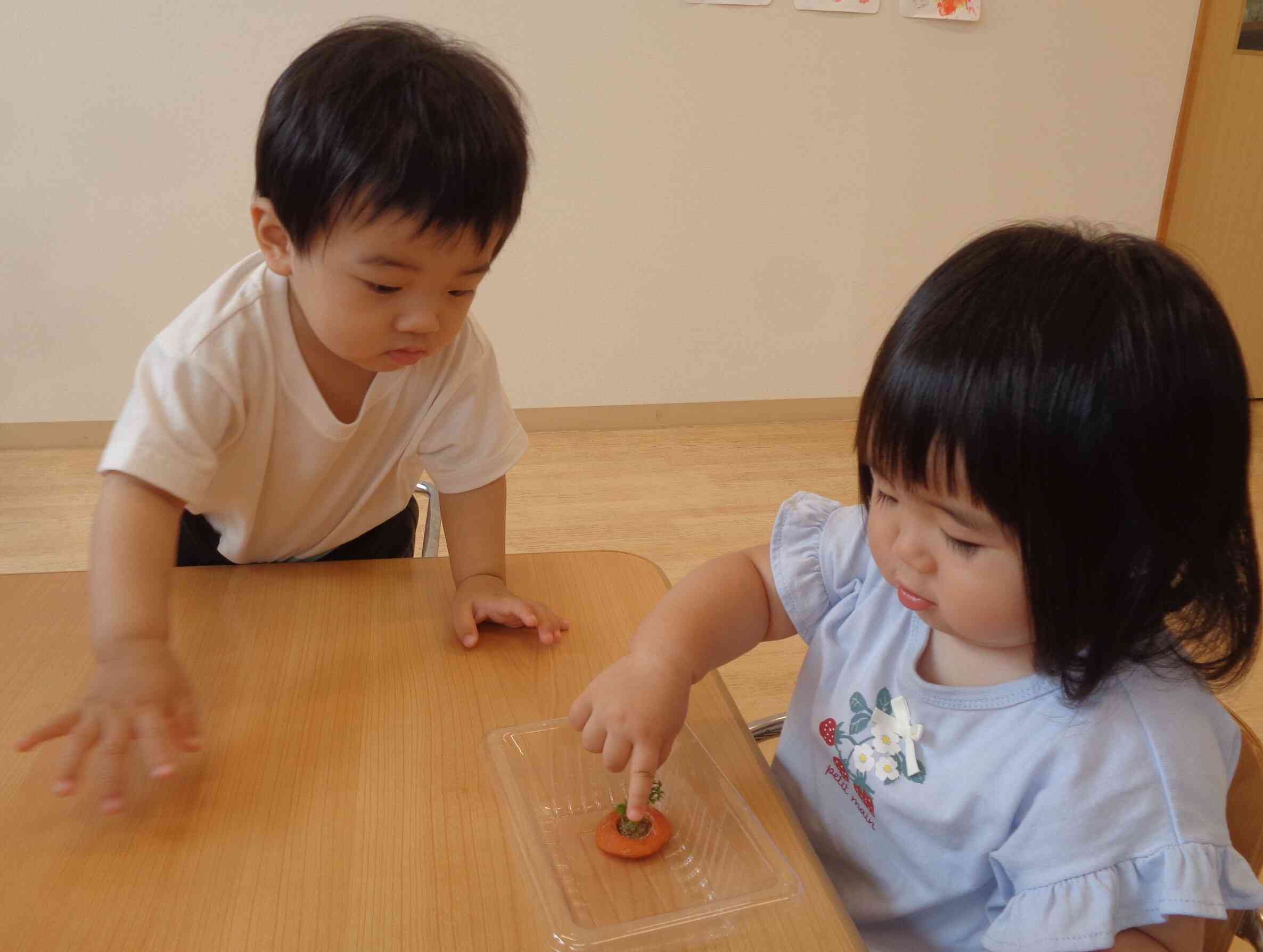 にんじんの観察③
