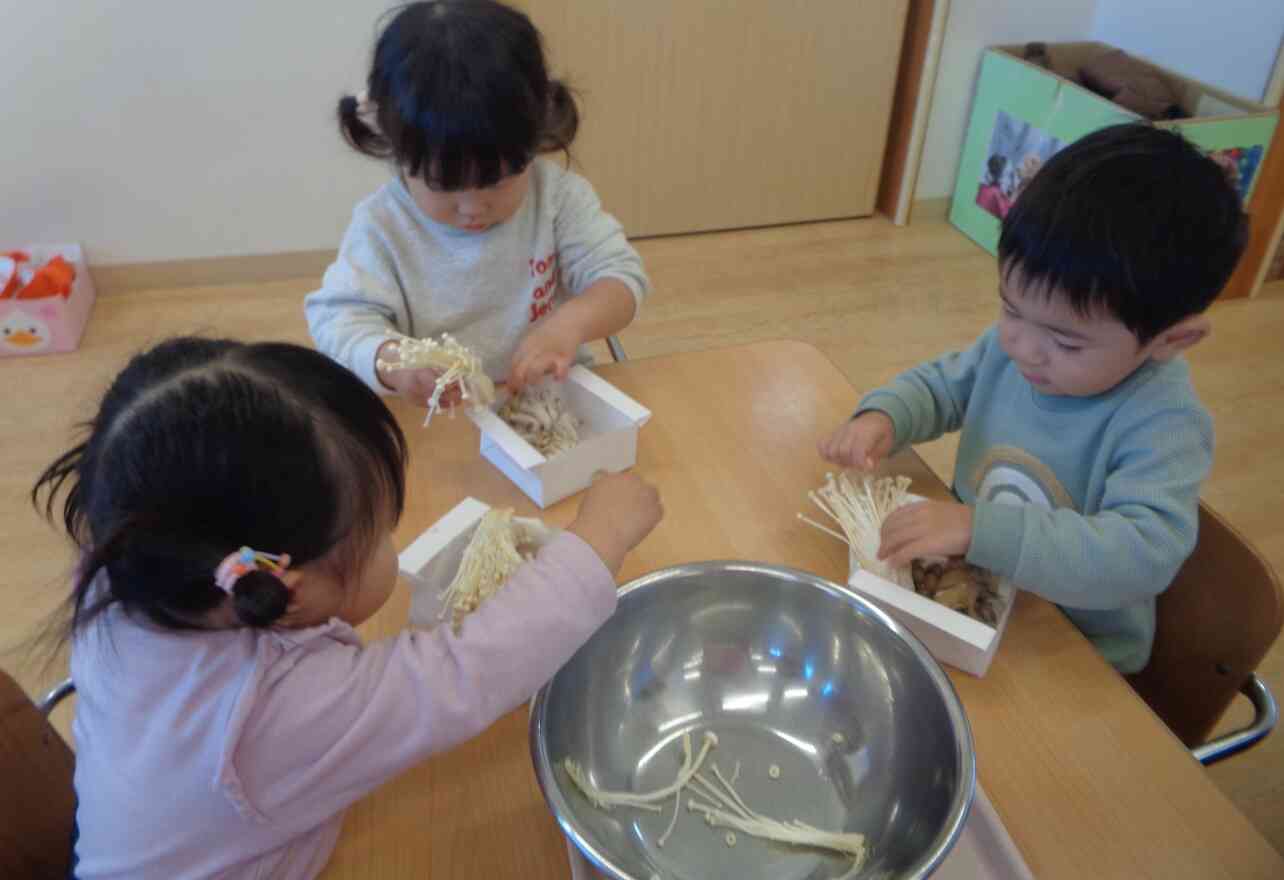 きのこを割きます！！