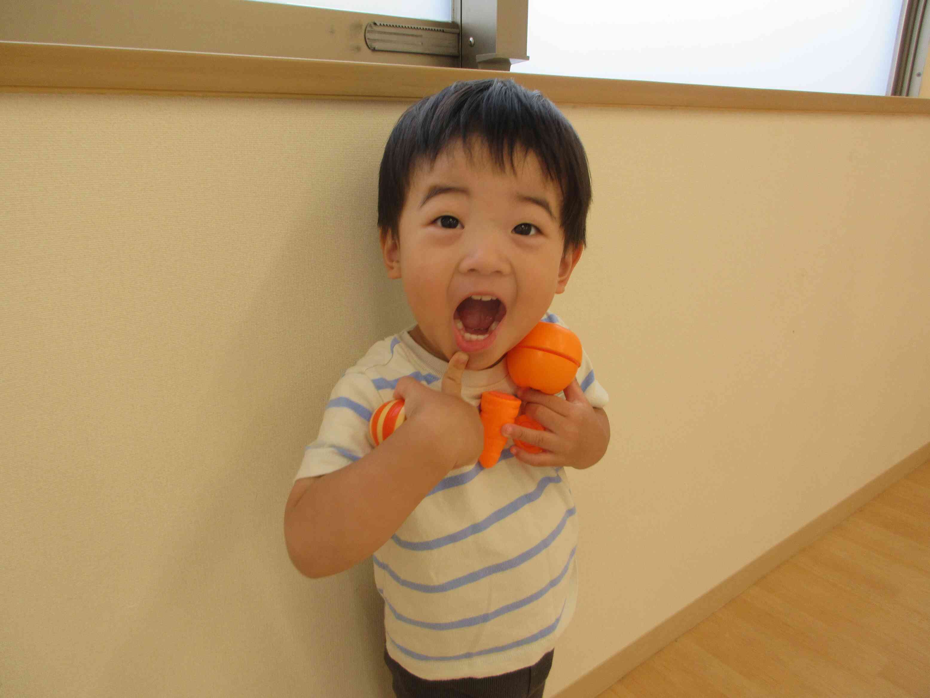 オレンジ色の食べ物をたくさん集めたよ！