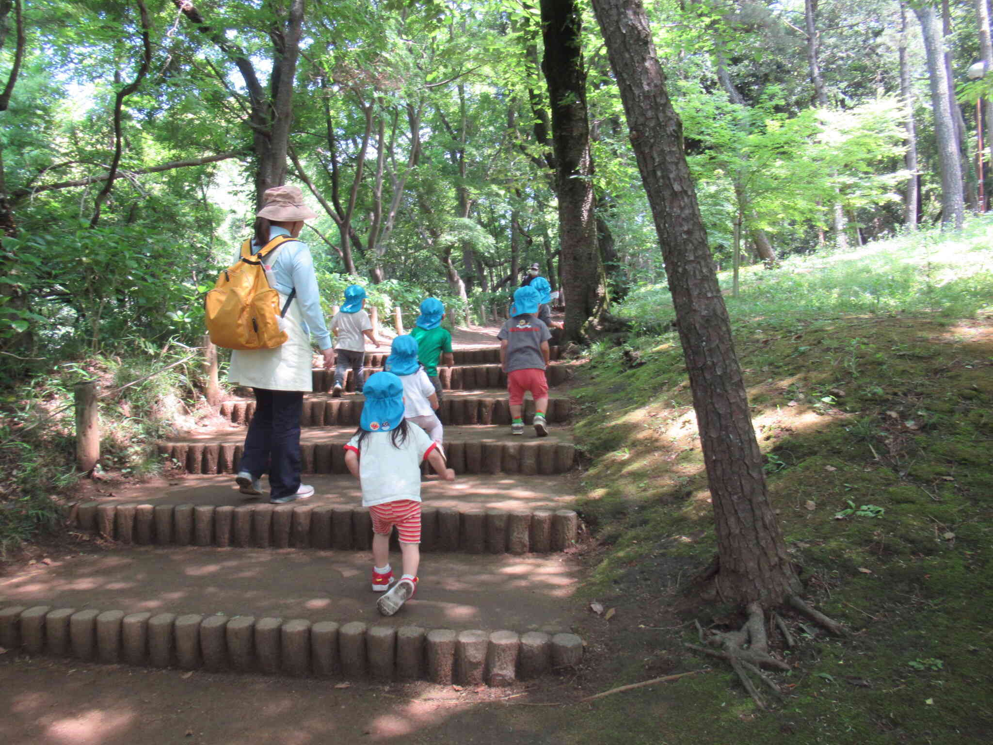 保育園の周りは自然がいっぱい！元気に森林公園を散策（うさぎ組2歳児）