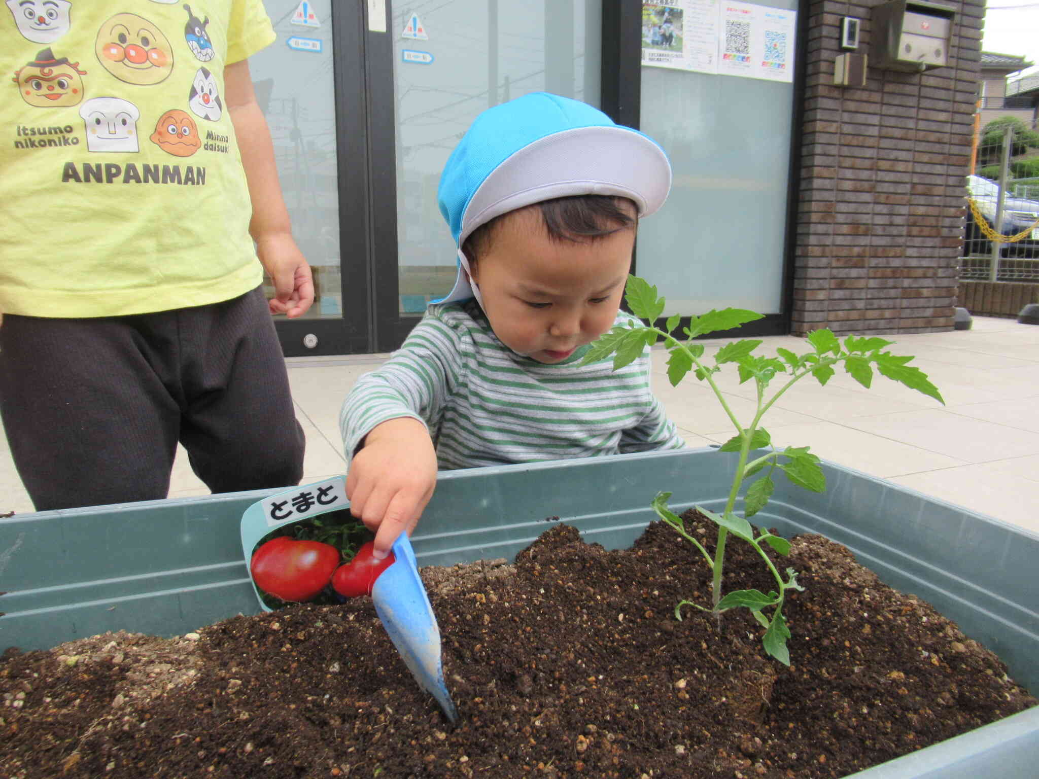 上手に植えられたかな？真剣な表情！！