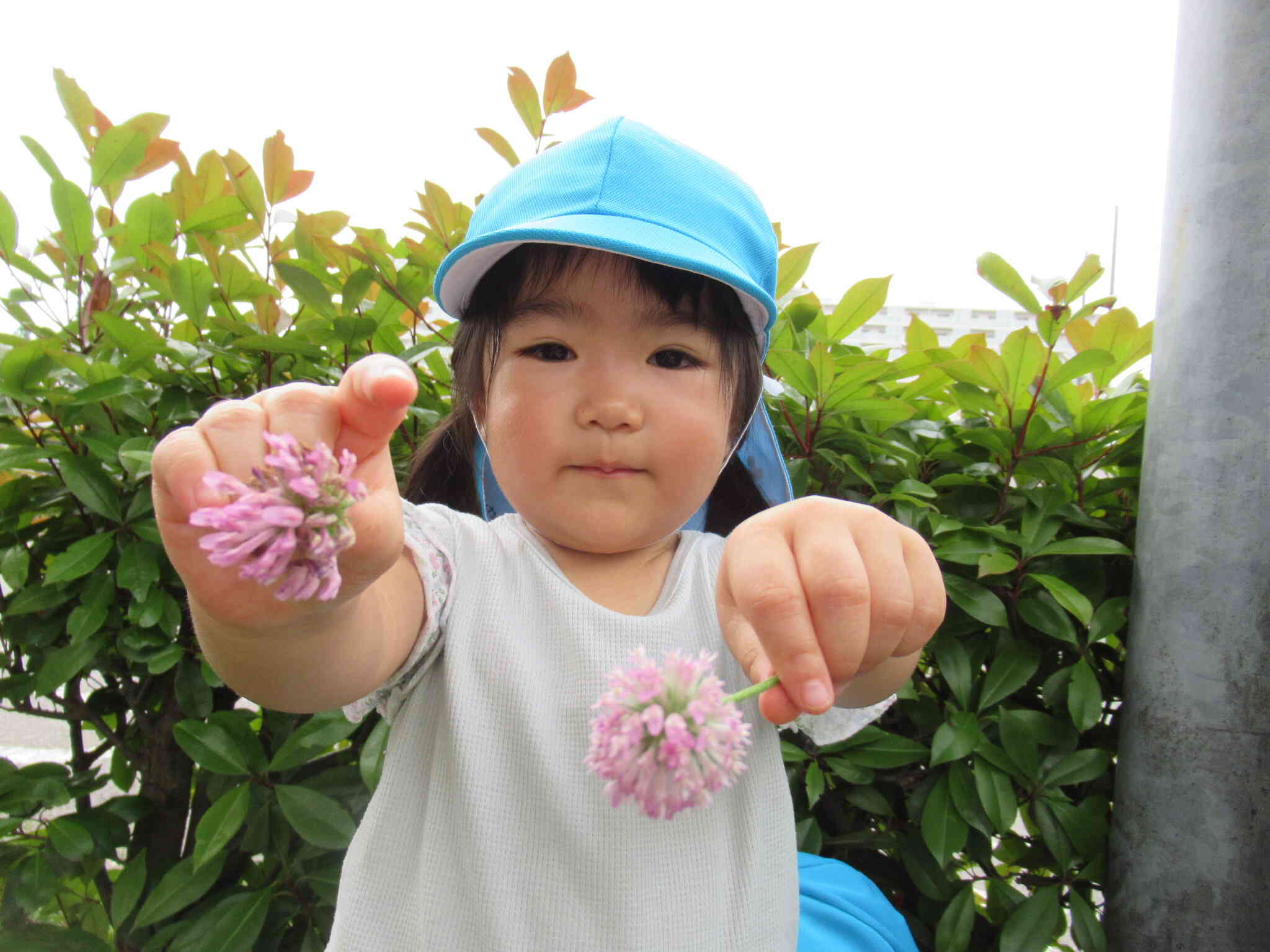ピンクのお花、かわいいね♡