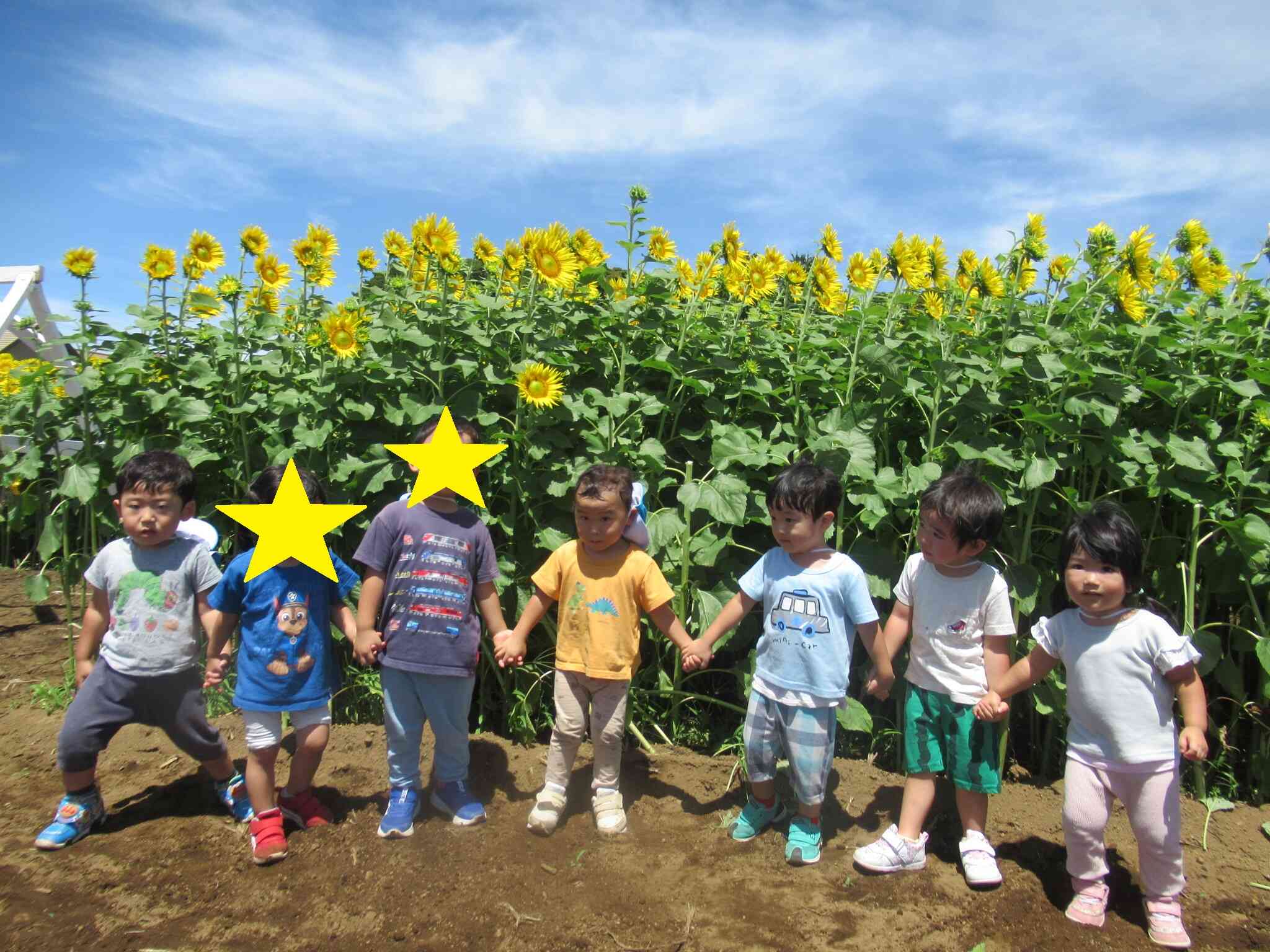 ひまわり畑で仲良しうさぎ組のみんな♪（うさぎ組2歳児）