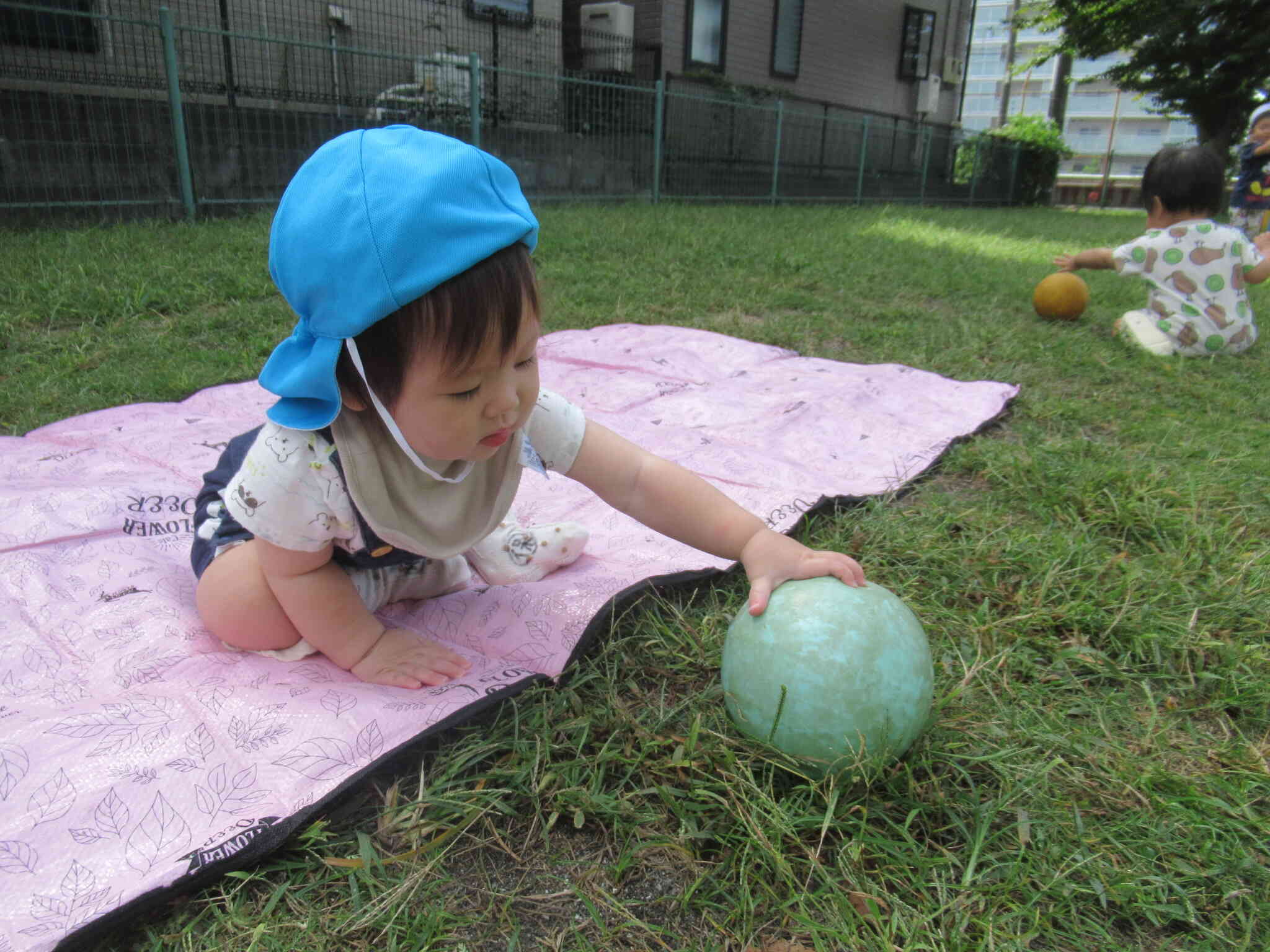 ボールが転がってきたぞ～