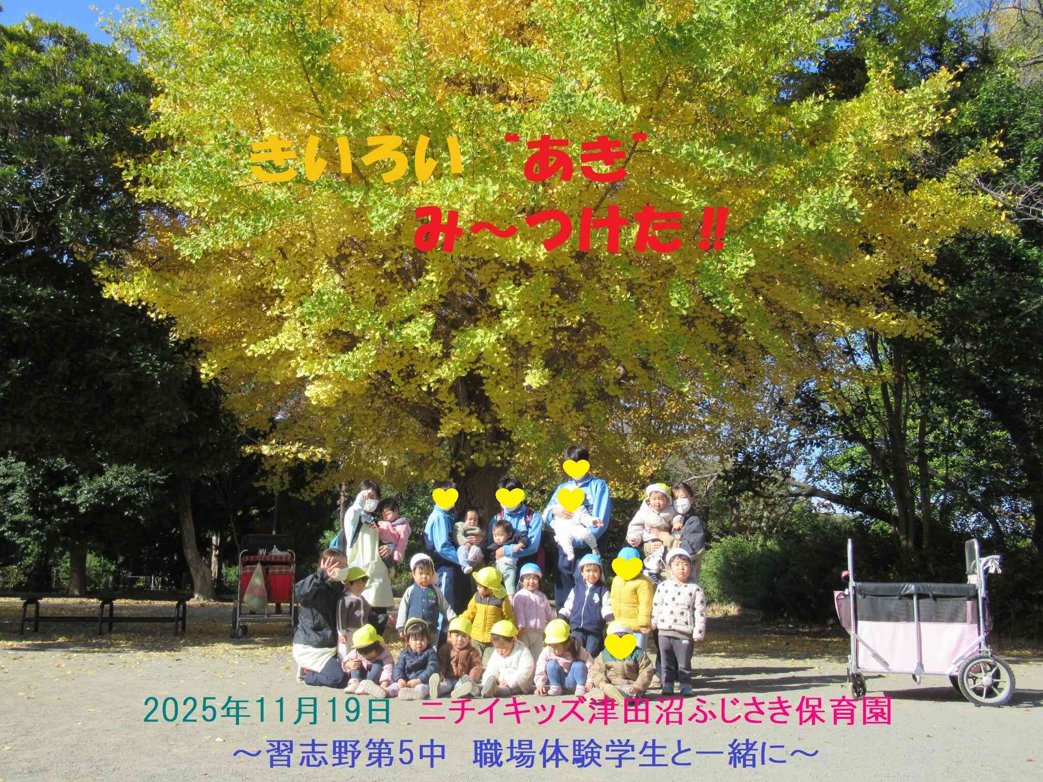 自然がいっぱい！大きなイチョウをバックにハイチーズ❤withおにいちゃんせんせい★