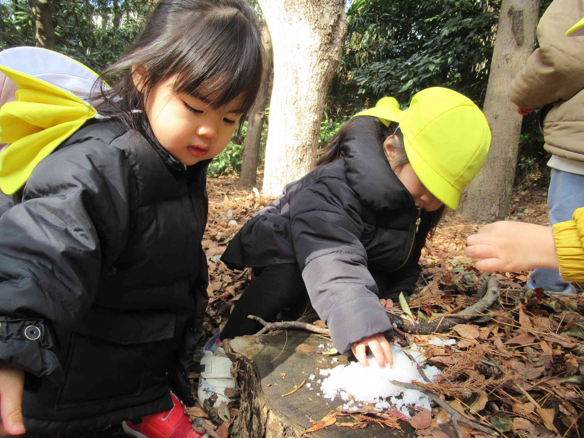 クラス活動で森林公園に！