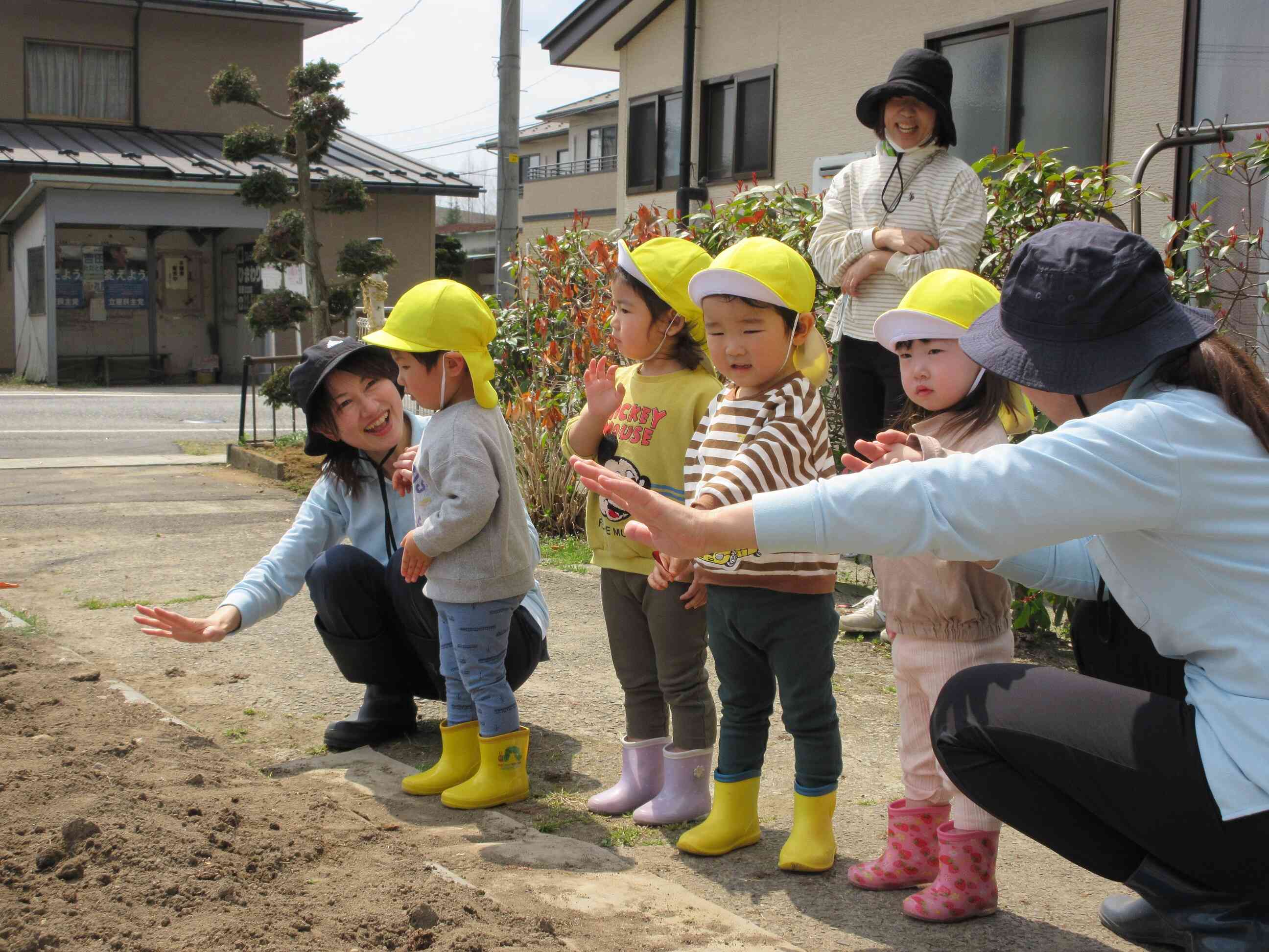 じゃがいもさん、大きくなってね～！
