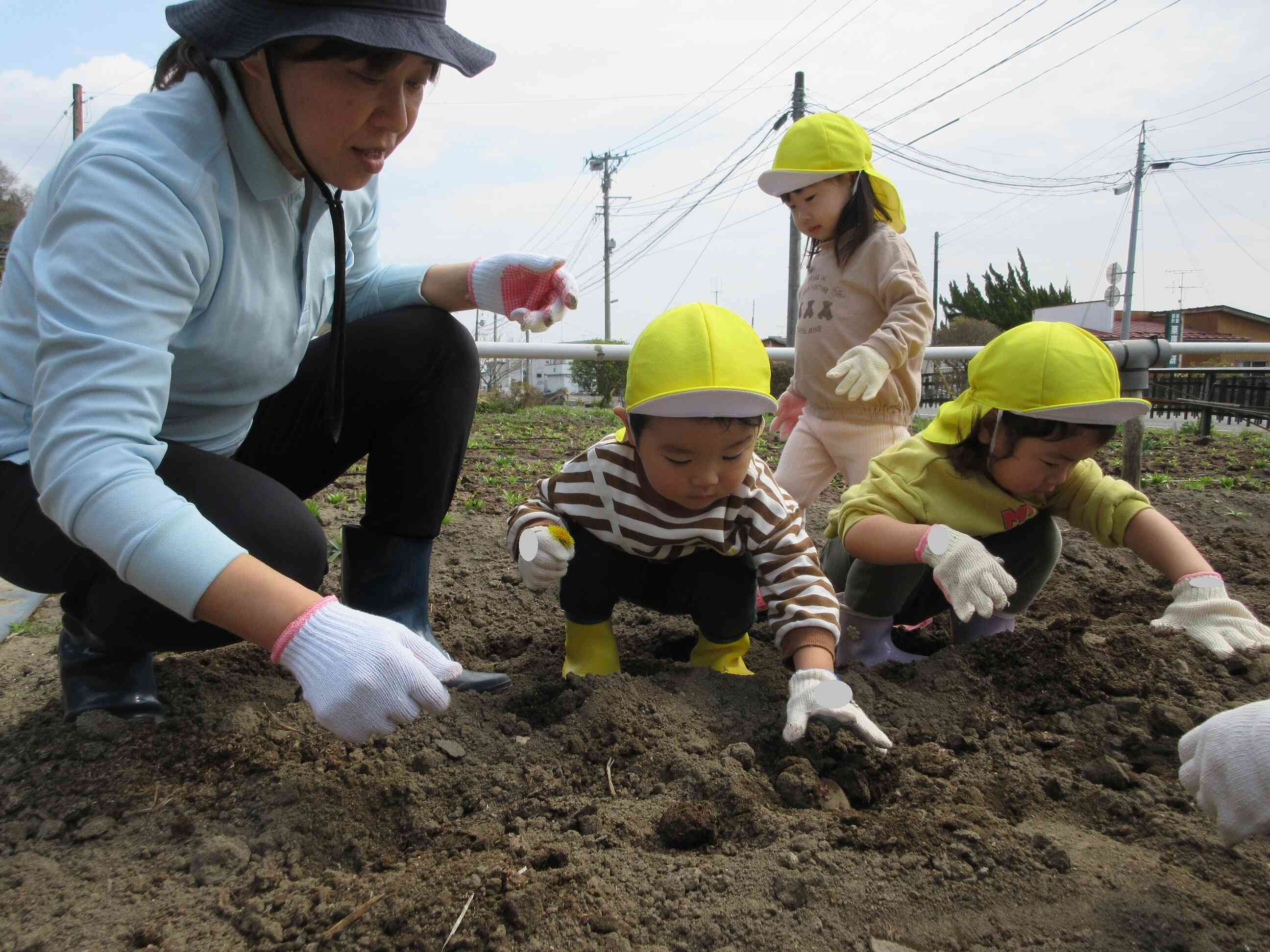 じゃがいも植え～２歳児食育活動～
