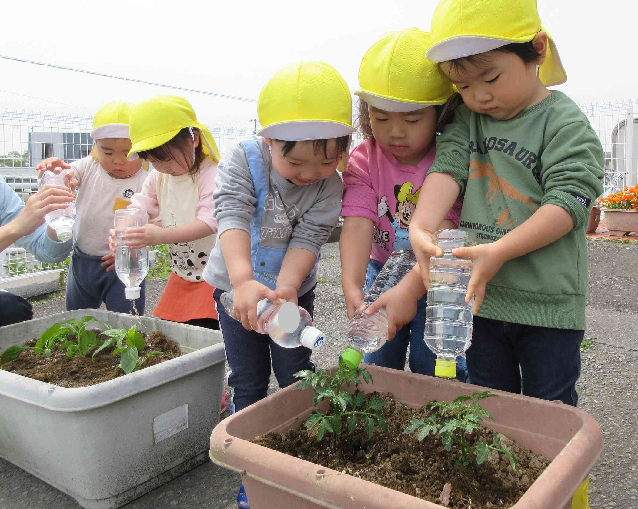 お水のシャワーだね
