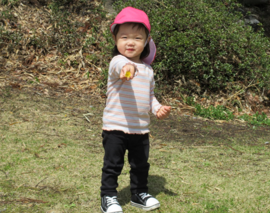 たんぽぽさん、み～つけた！