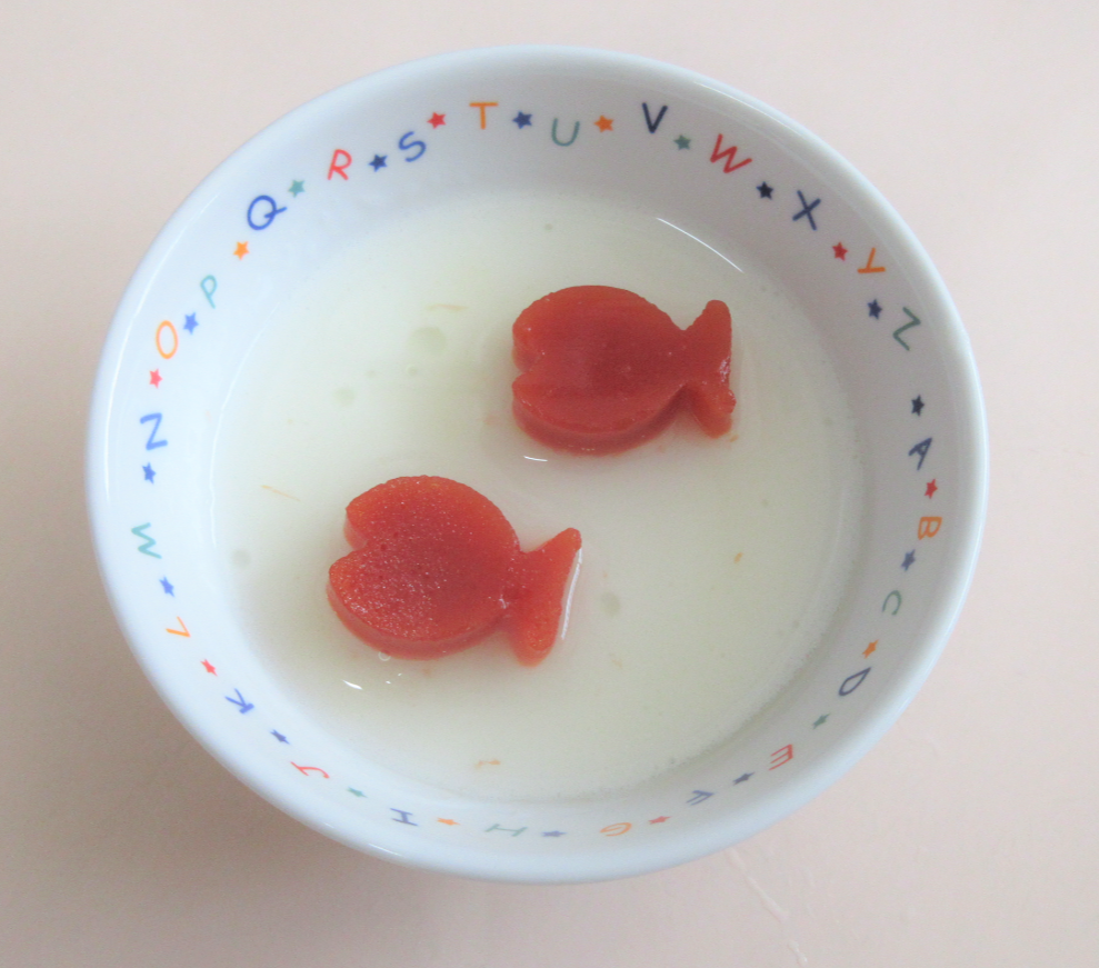 真っ赤な金魚がプカプカ♪
