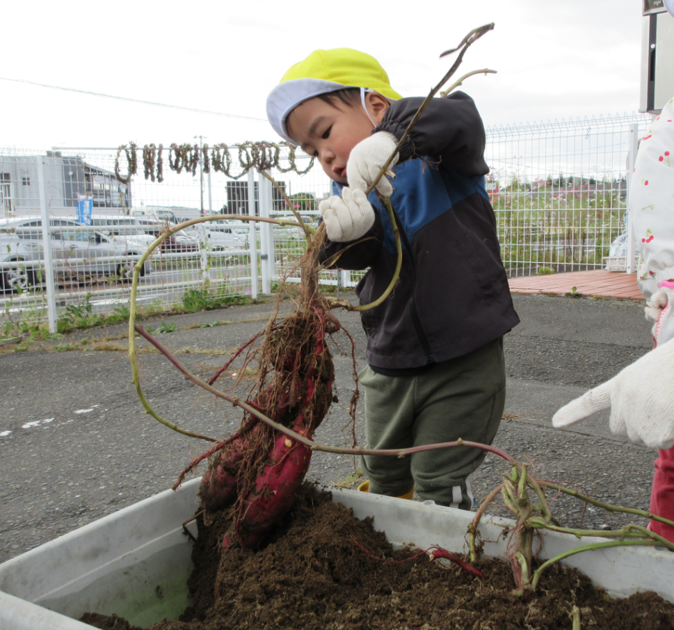 「みて~ぬけたよ」