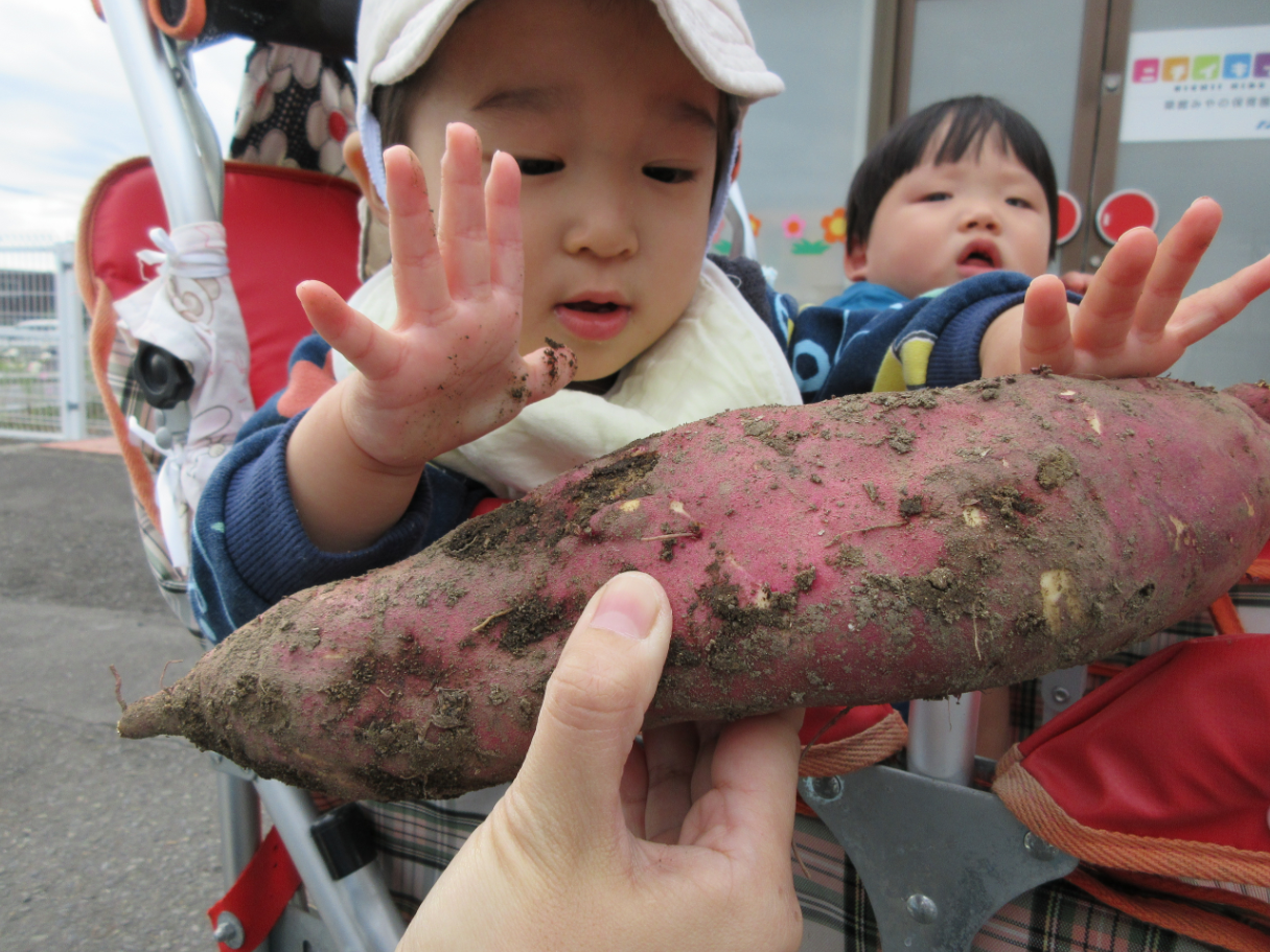 「ちょっと触ってみようかな?」