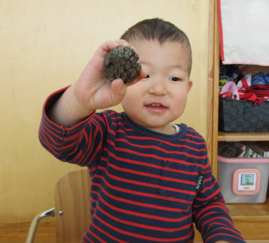 松ぼっくりみ～つけた！