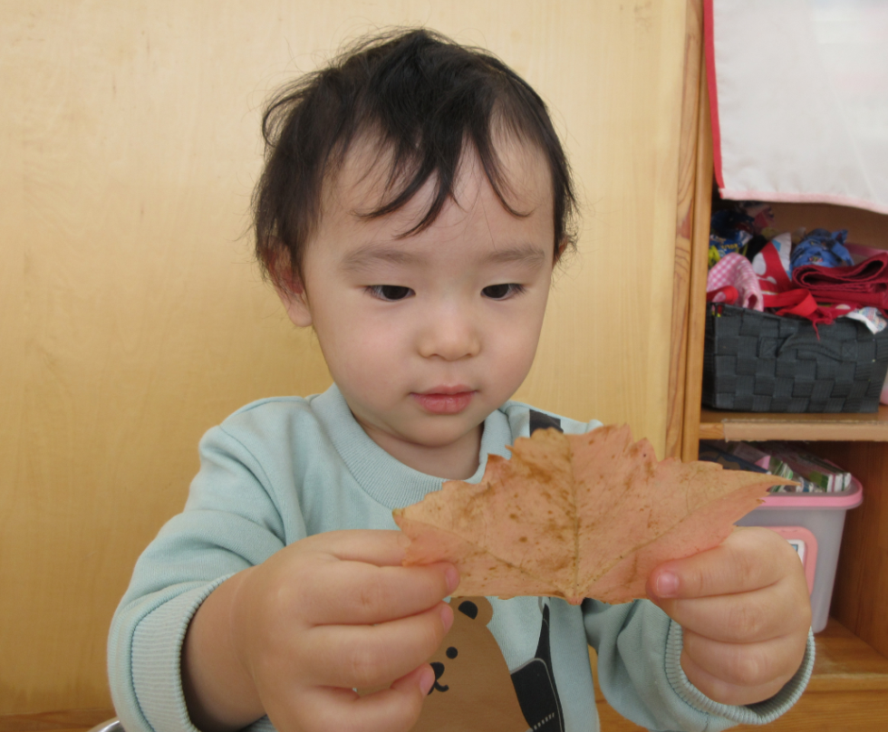 「おおきなはっぱだな～！」