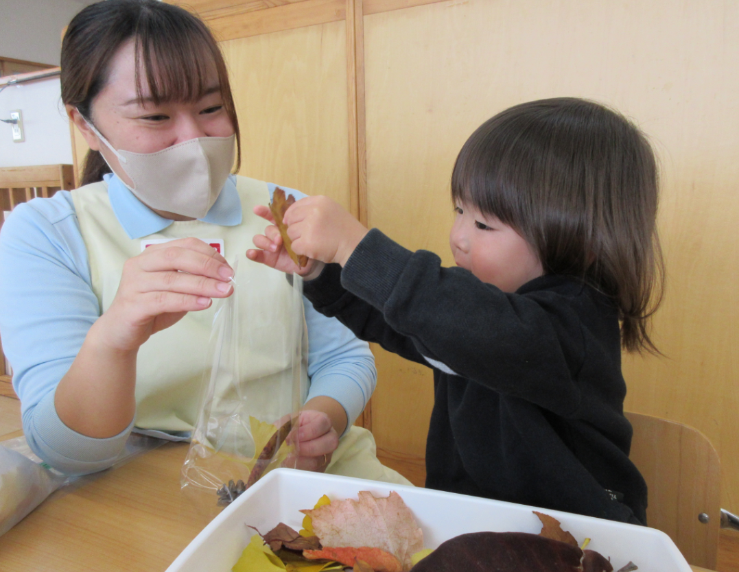 お気に入りの葉っぱを沢山入れてみよう！