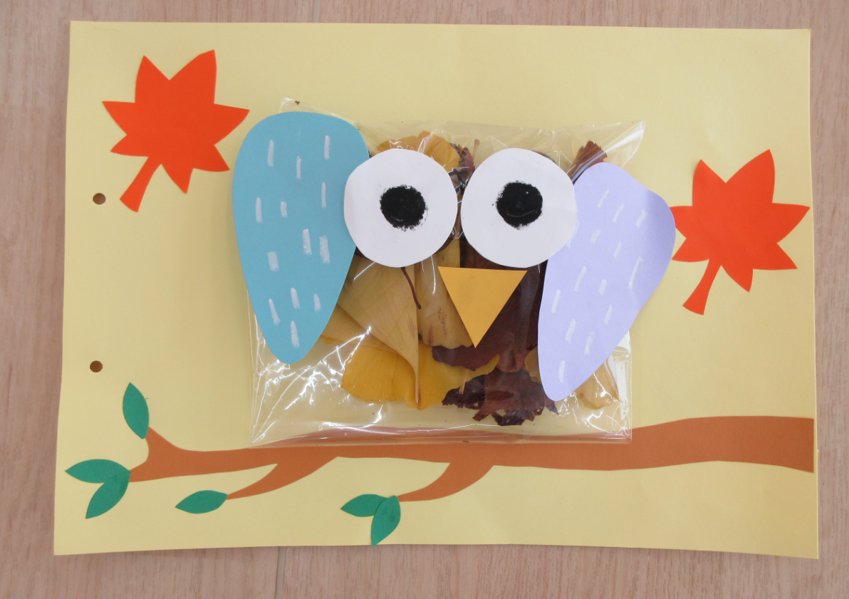 可愛いフクロウさんがお部屋に遊びに来てくれました
