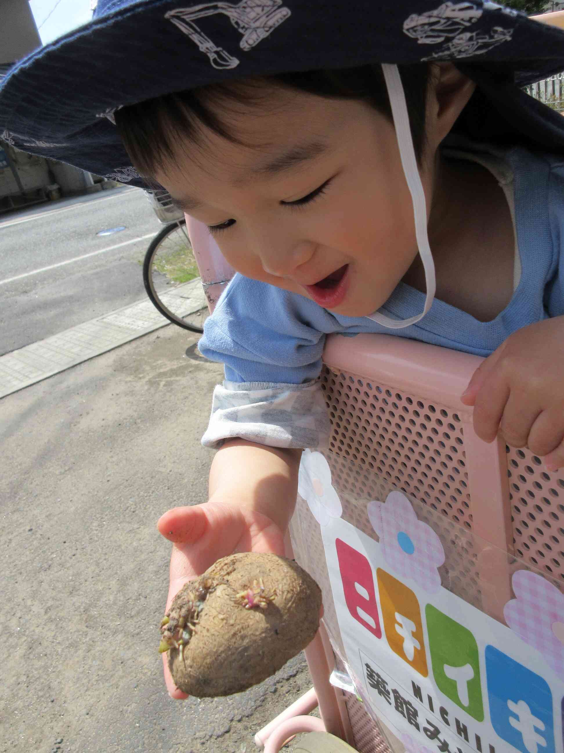 じゃがいもって大きいね。