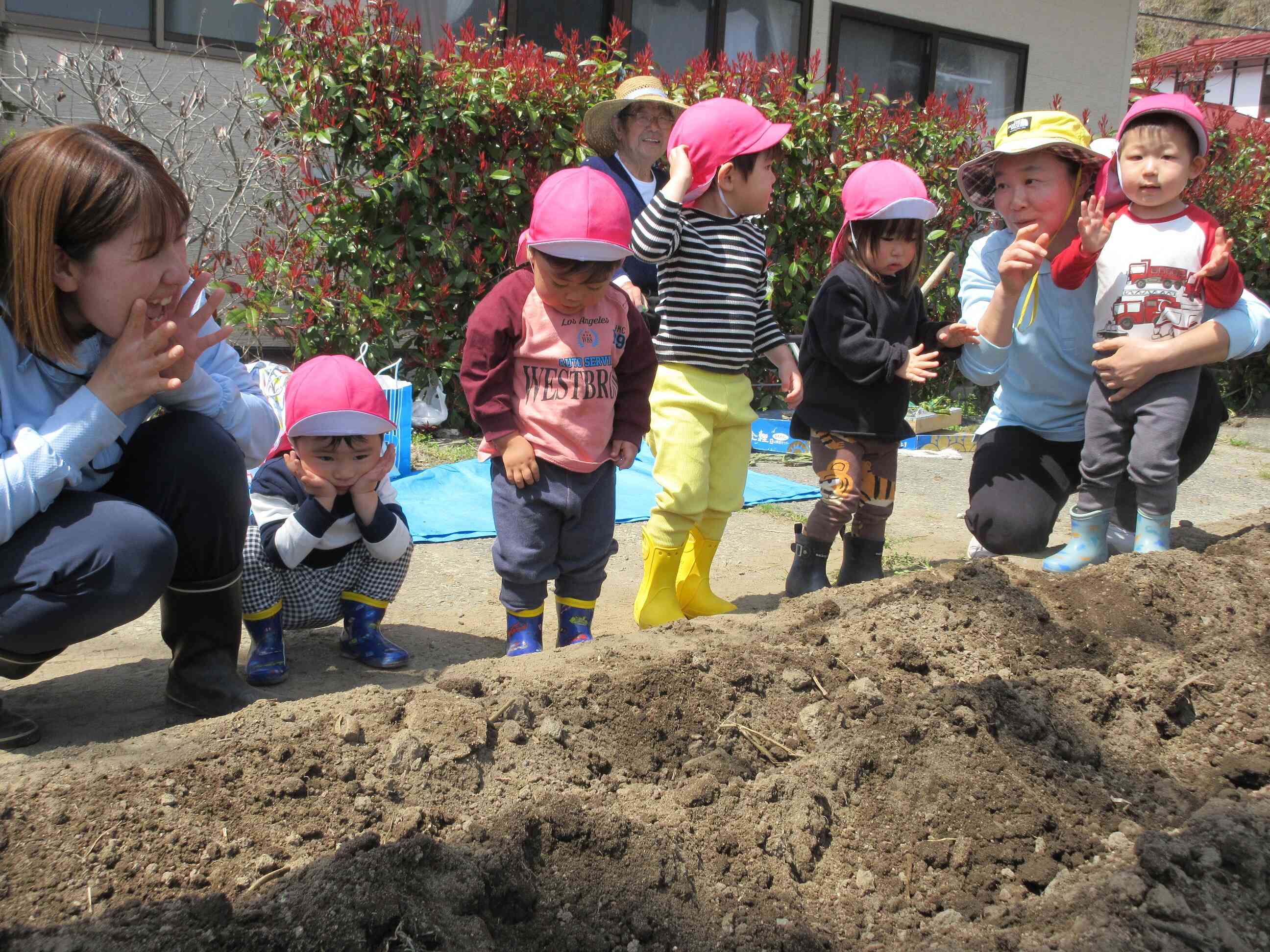 「大きくなってね、じゃがいもさん！」