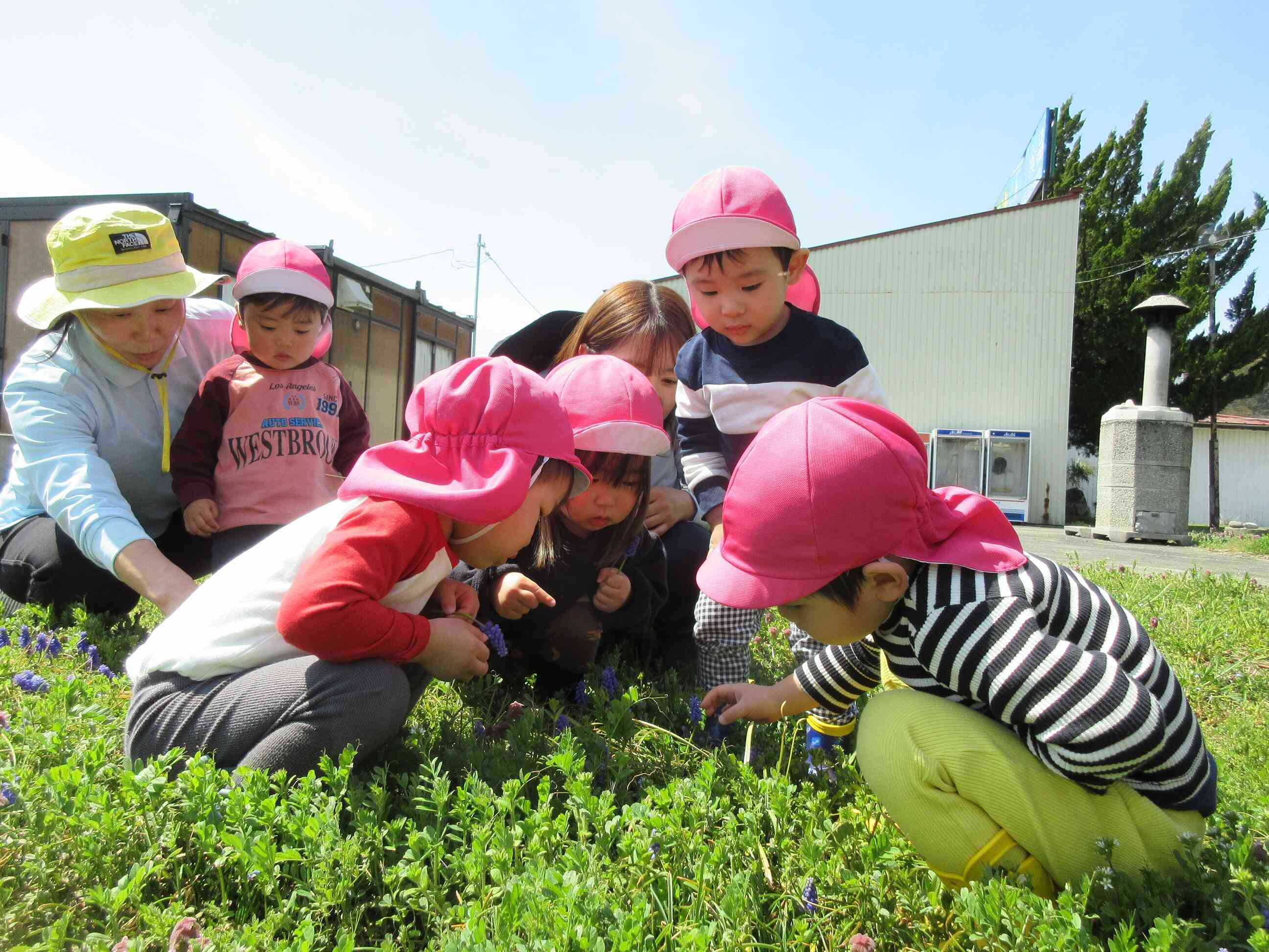 てんとうむしさんこんにちは♪