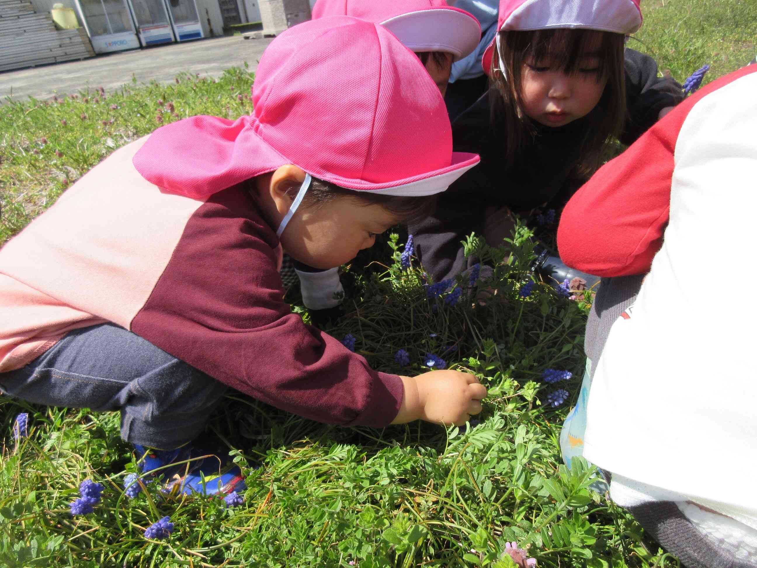 さわってみようかな～