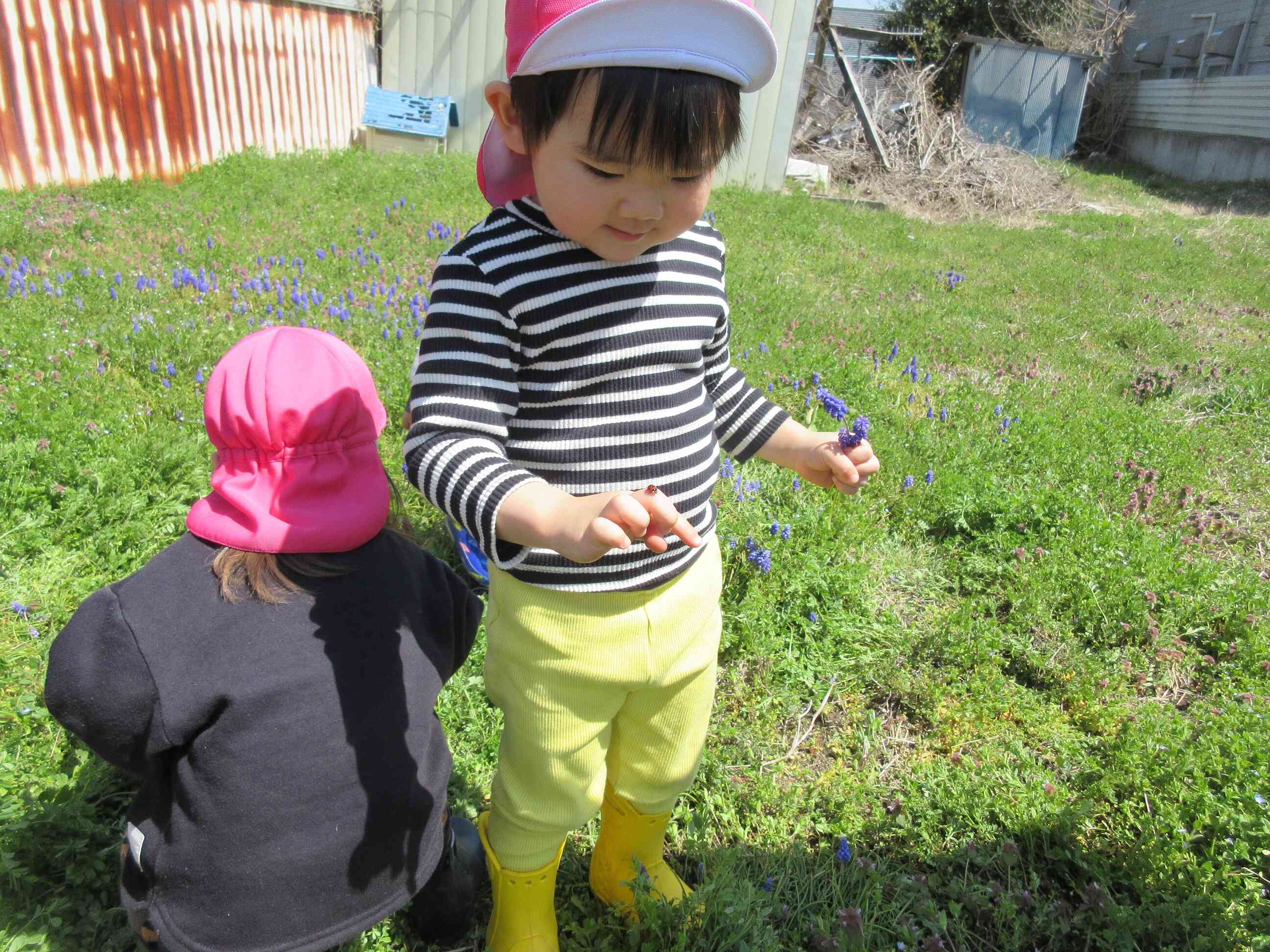 あっ！手に乗った♡