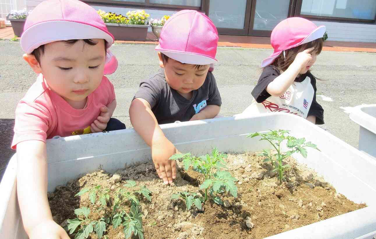 優しく”ぽんぽん”。