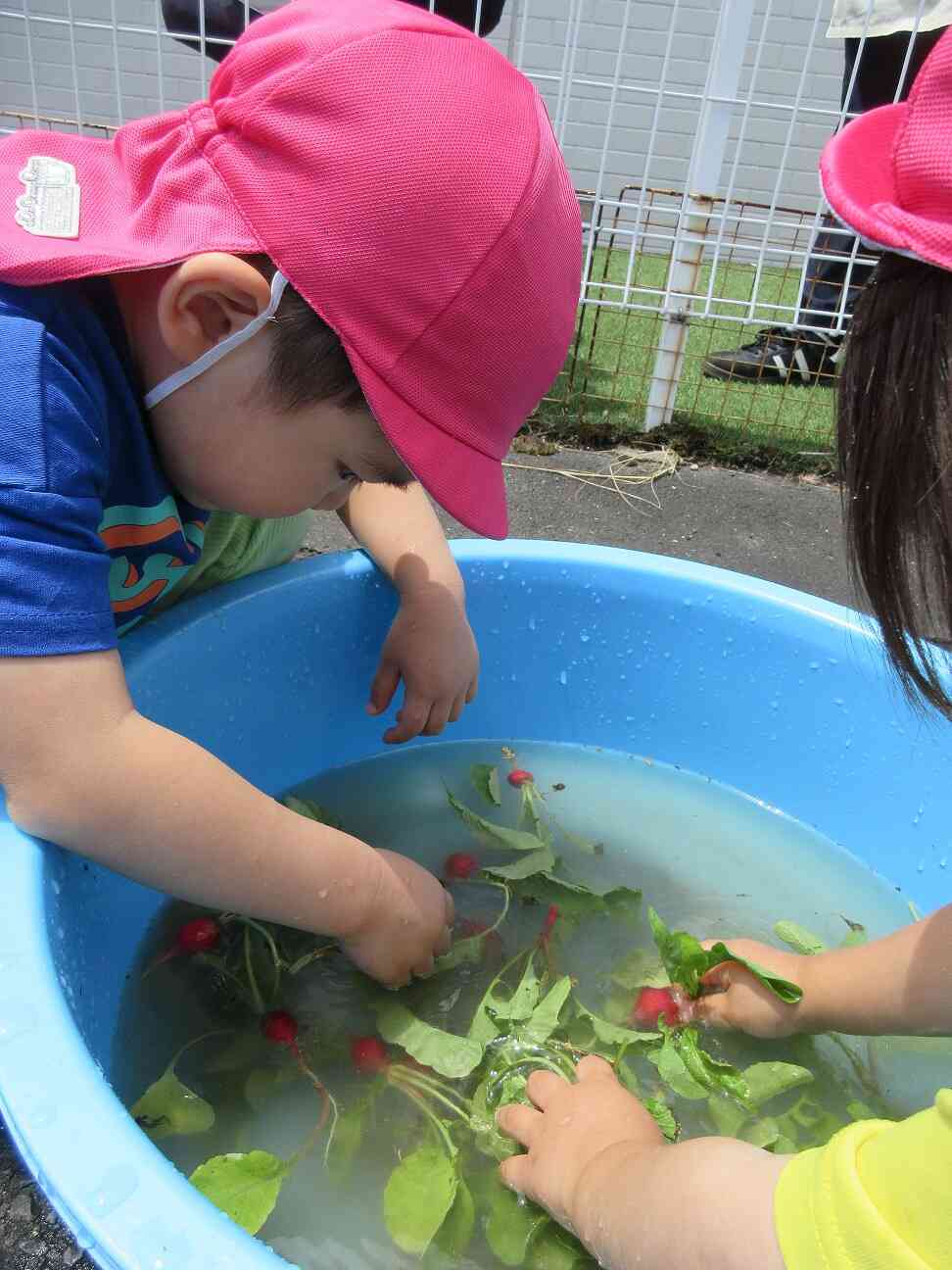 きれいにな〜れ！