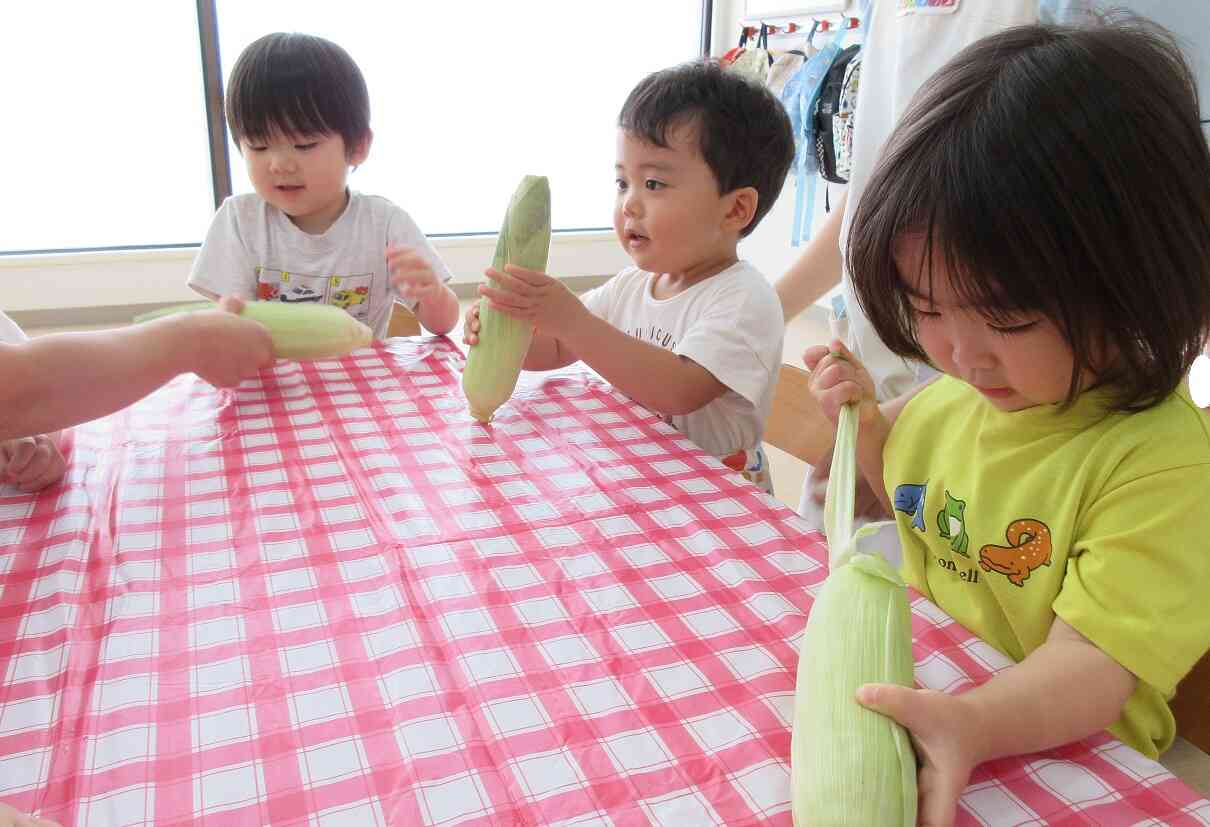 とうもろこしの皮むきをしたよ～２歳児　食育活動～