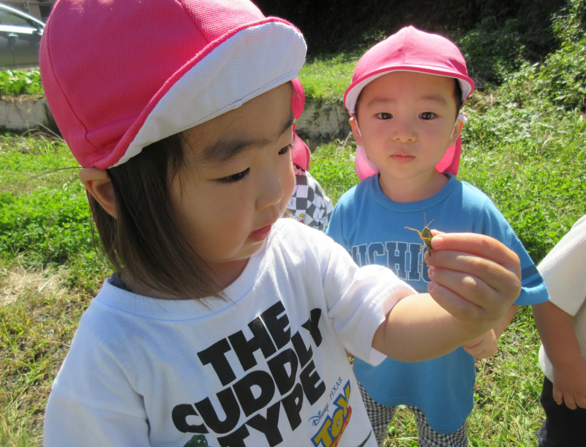 バッタ発見！