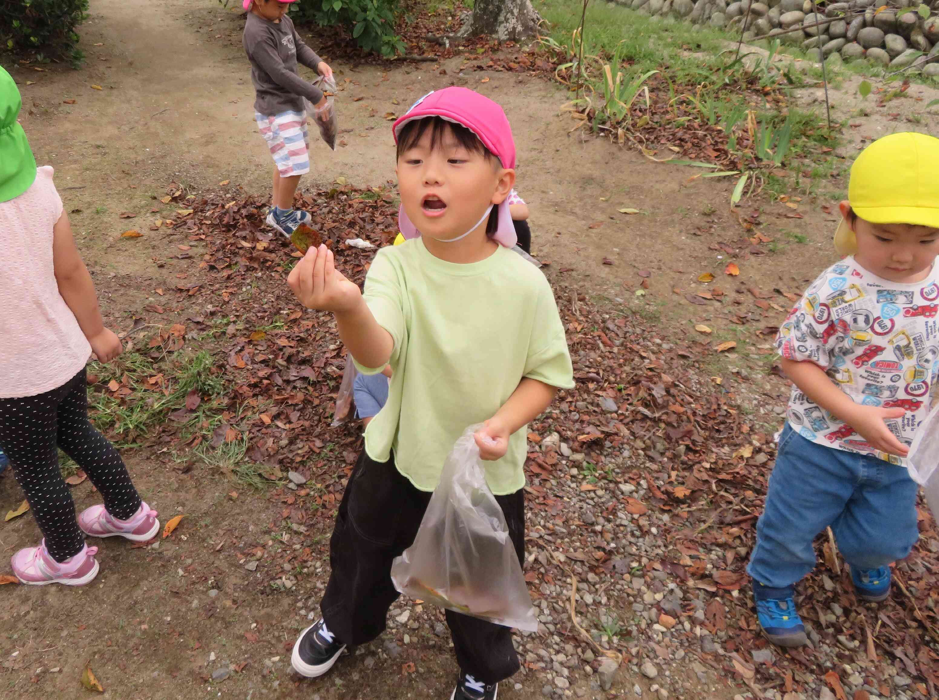 いろんな色や形があるね。