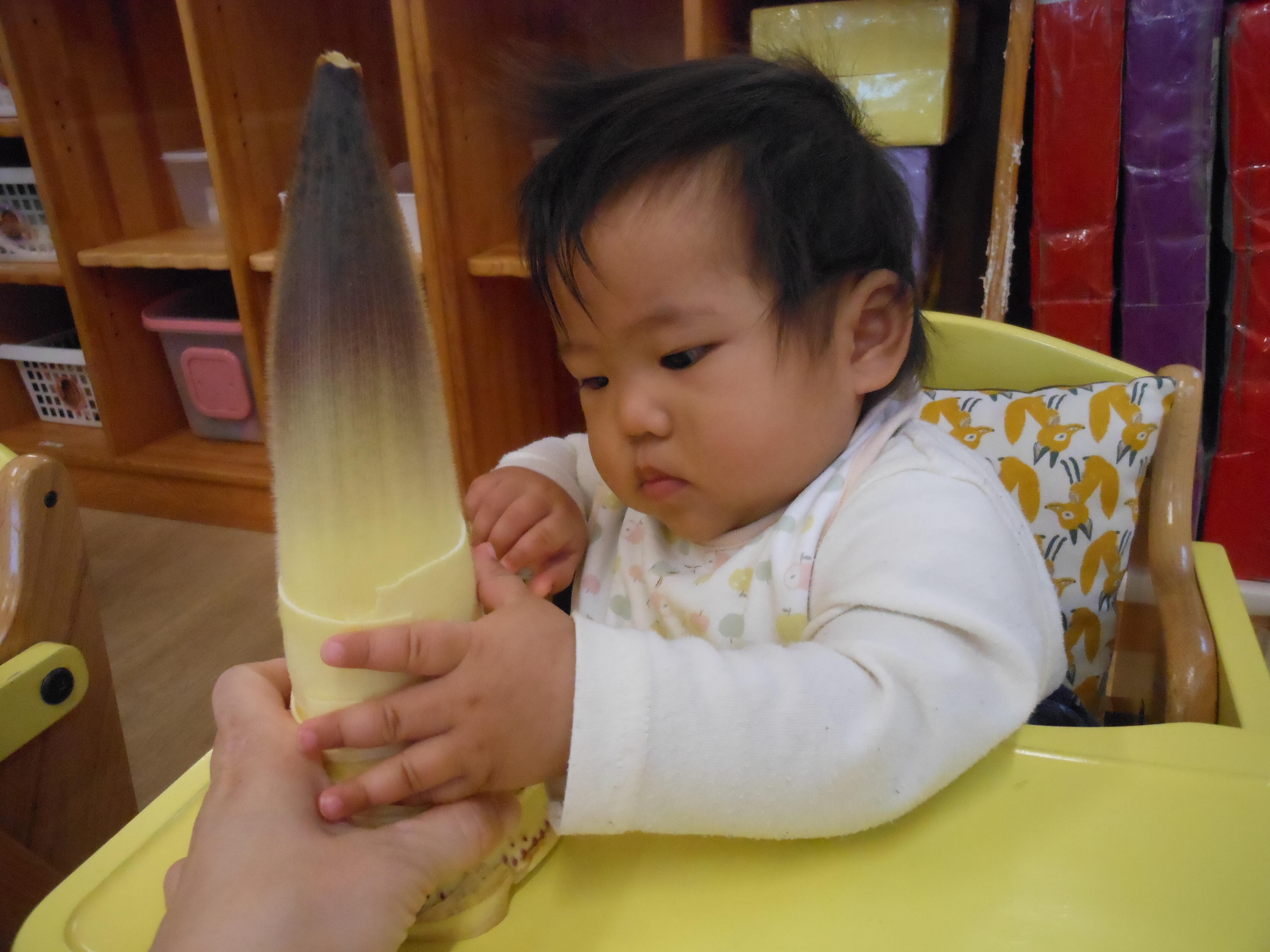 ひよこ組のお友だちも興味津々です。