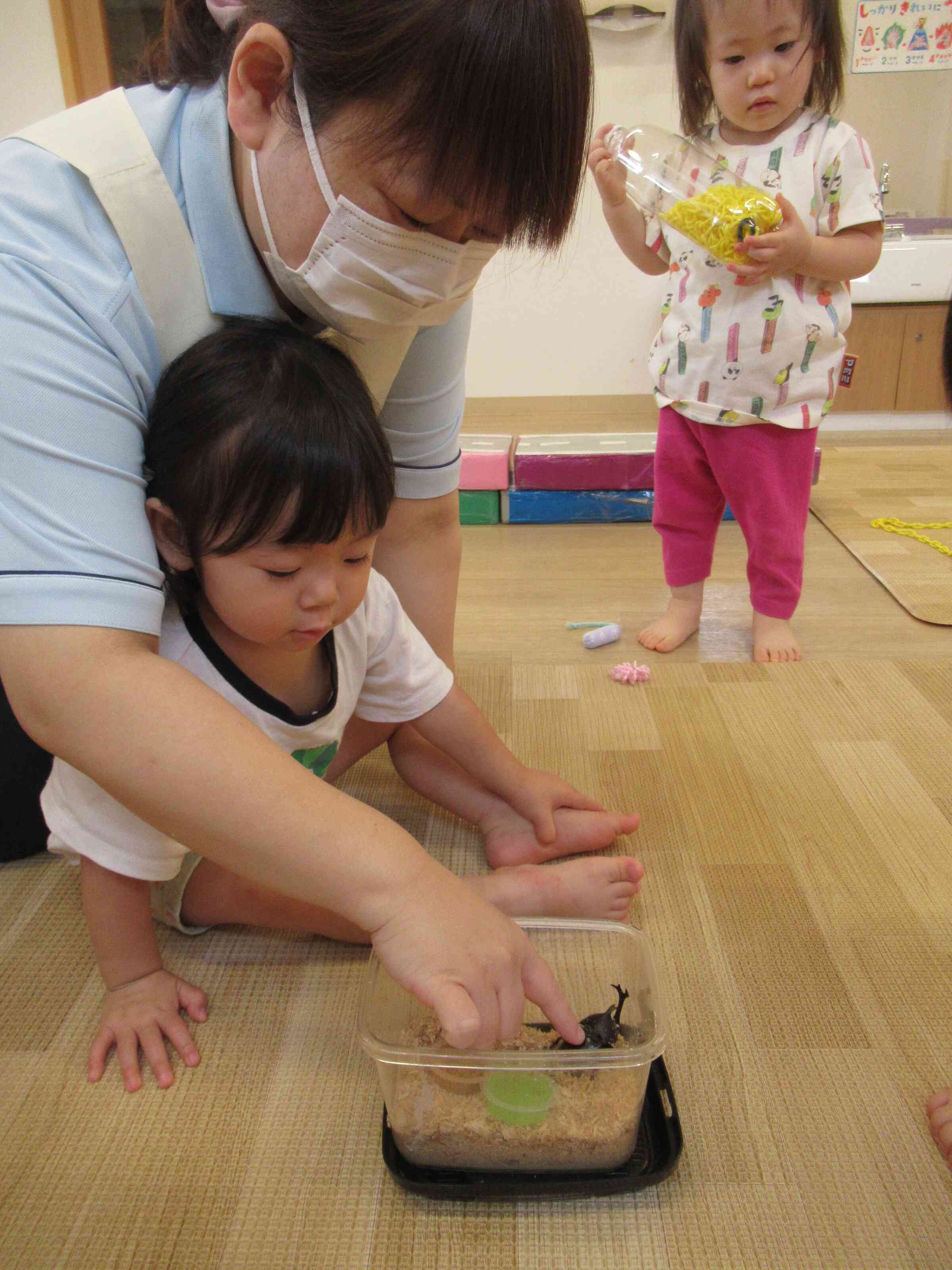 触れるかな?