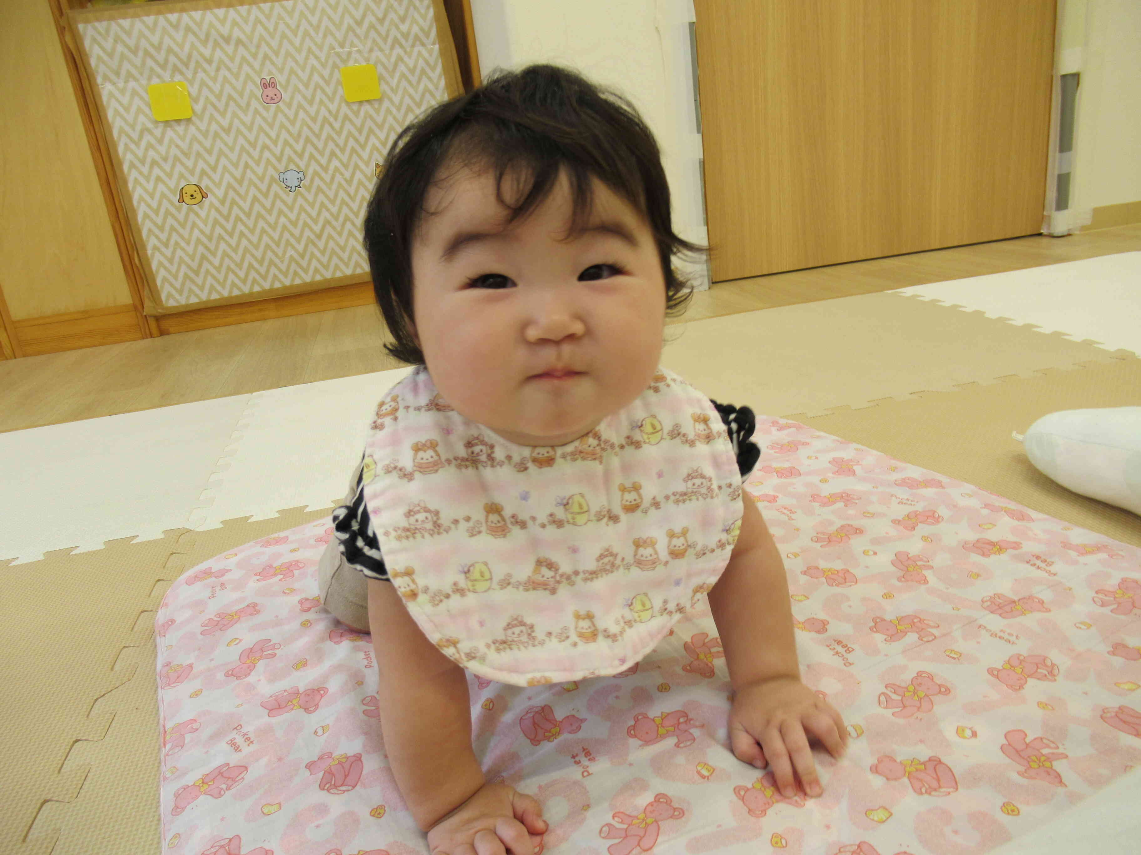 はいはいで進めるようになったよ♪