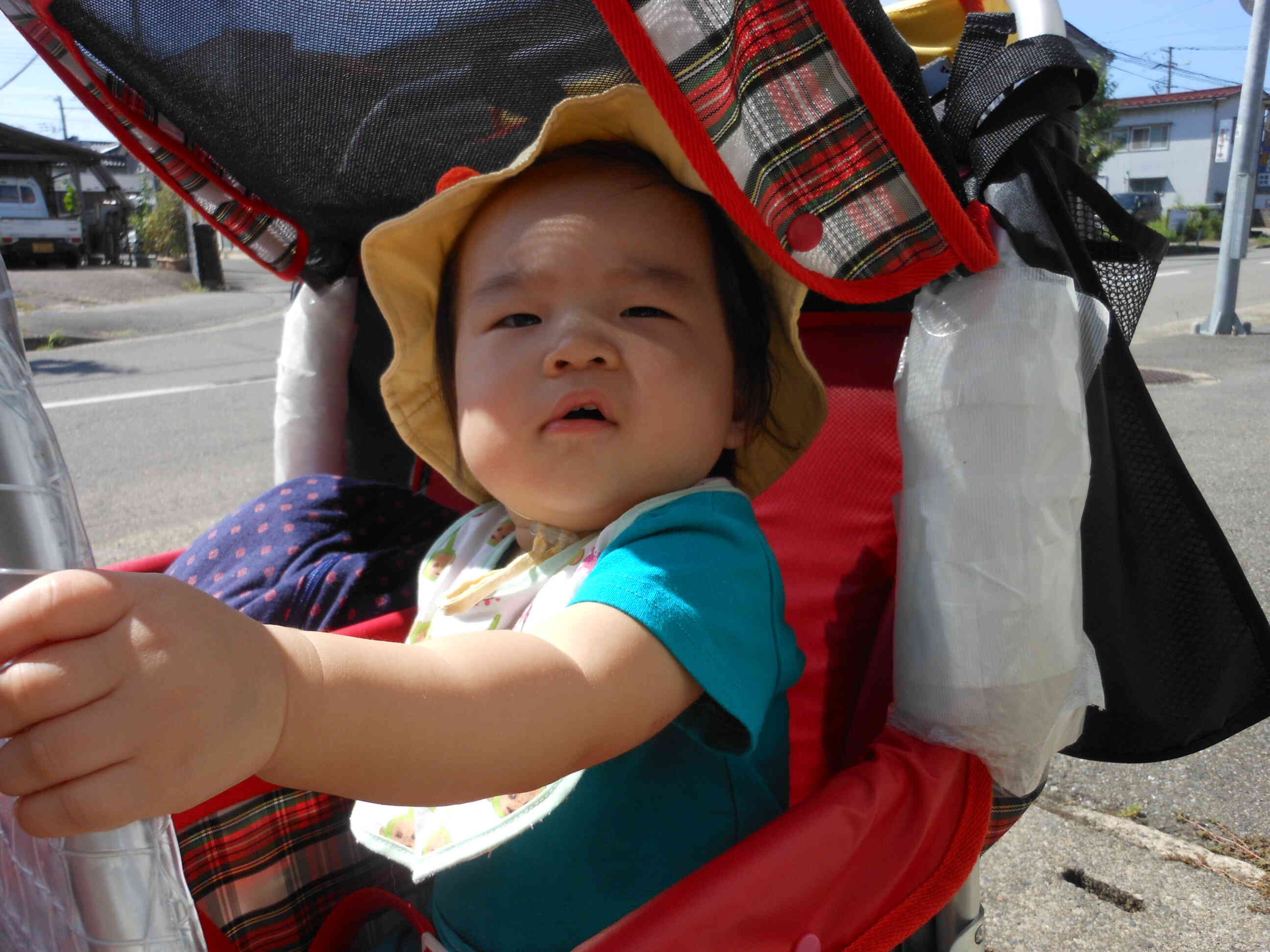 散歩車、大好き♪