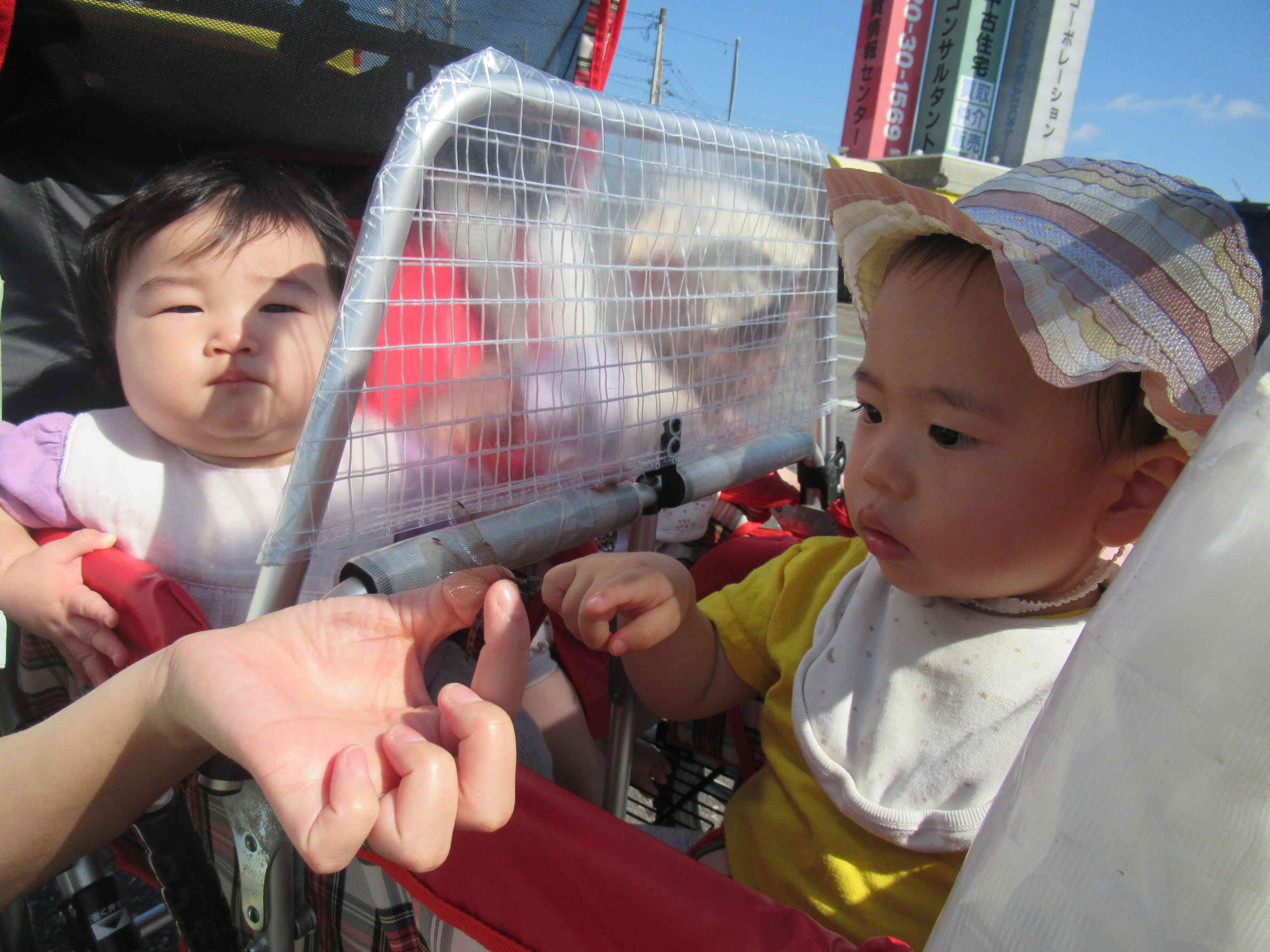 トンボさんと、仲良し★