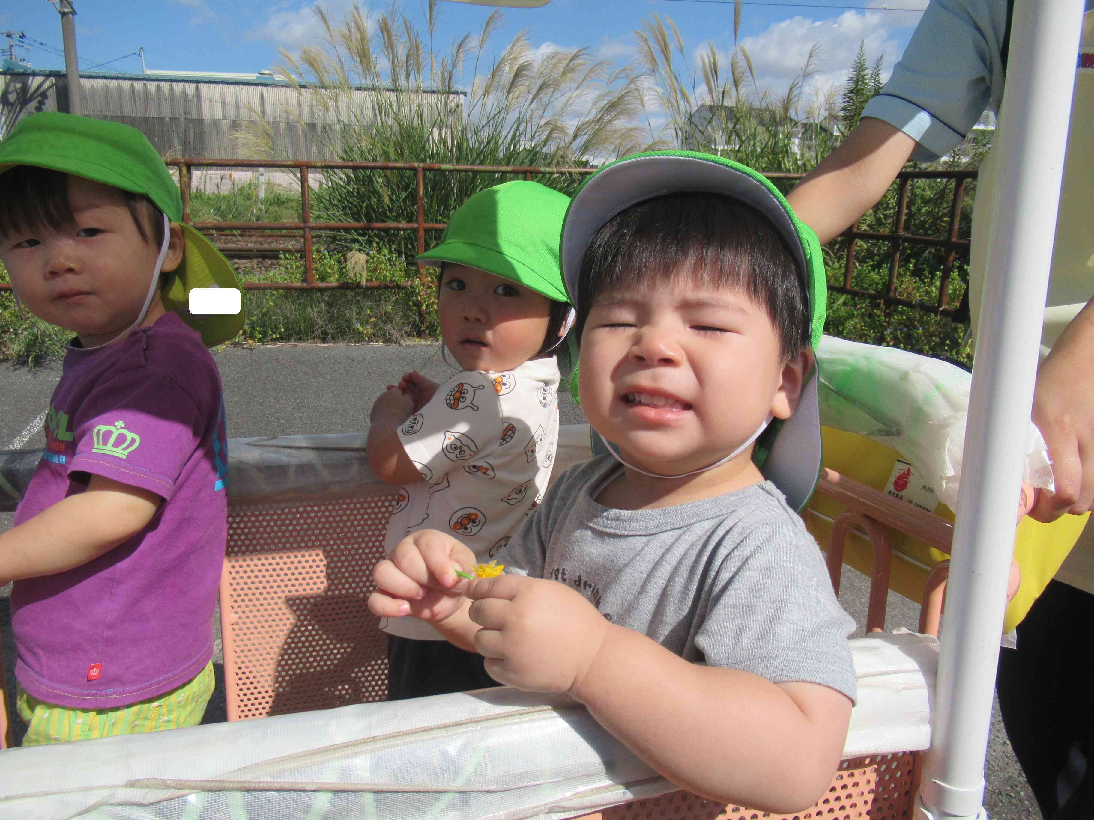 黄色のお花、見つけたよ☆