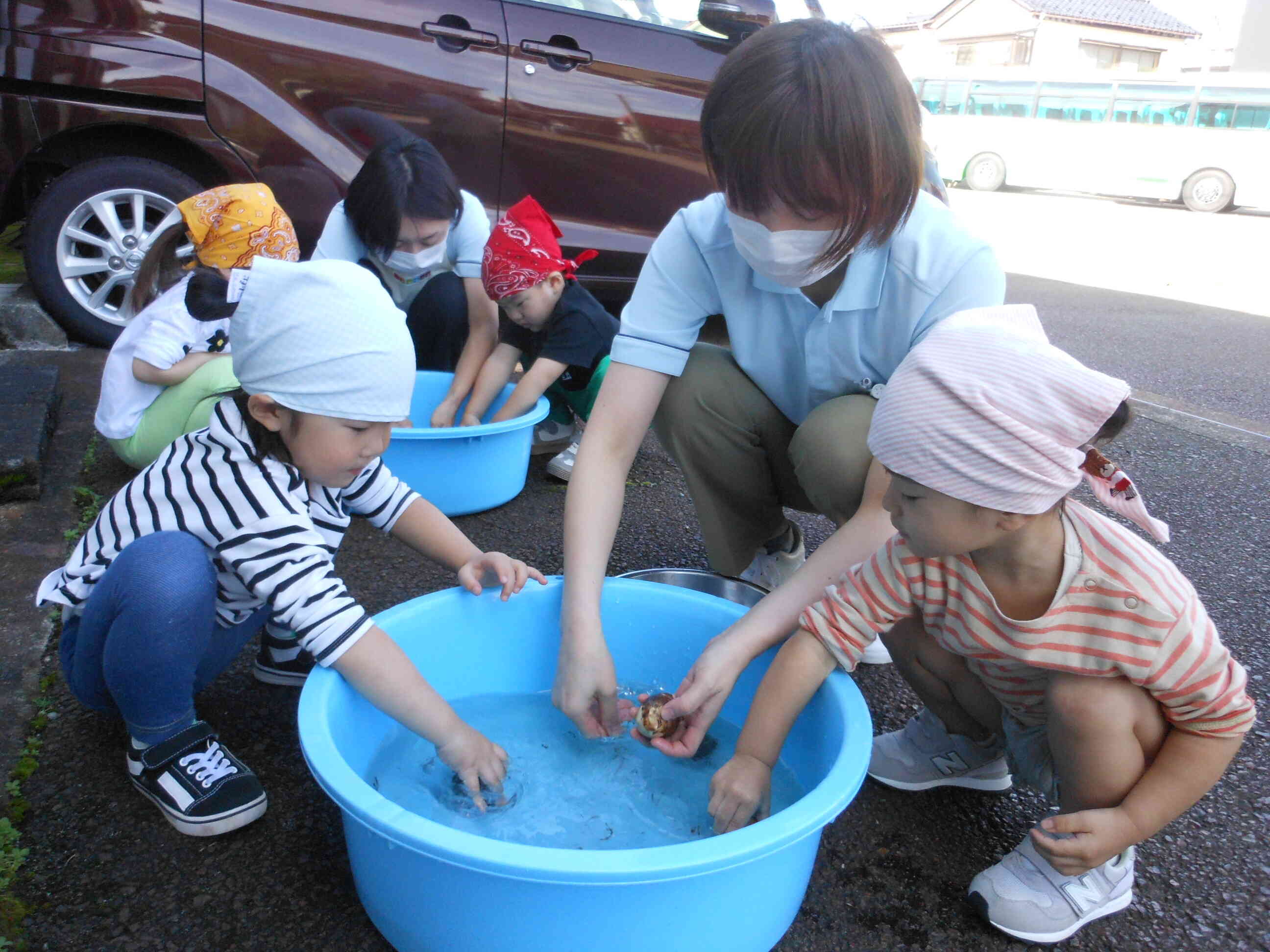 ★食育～芋煮（しめじほぐし・里芋洗い）～★