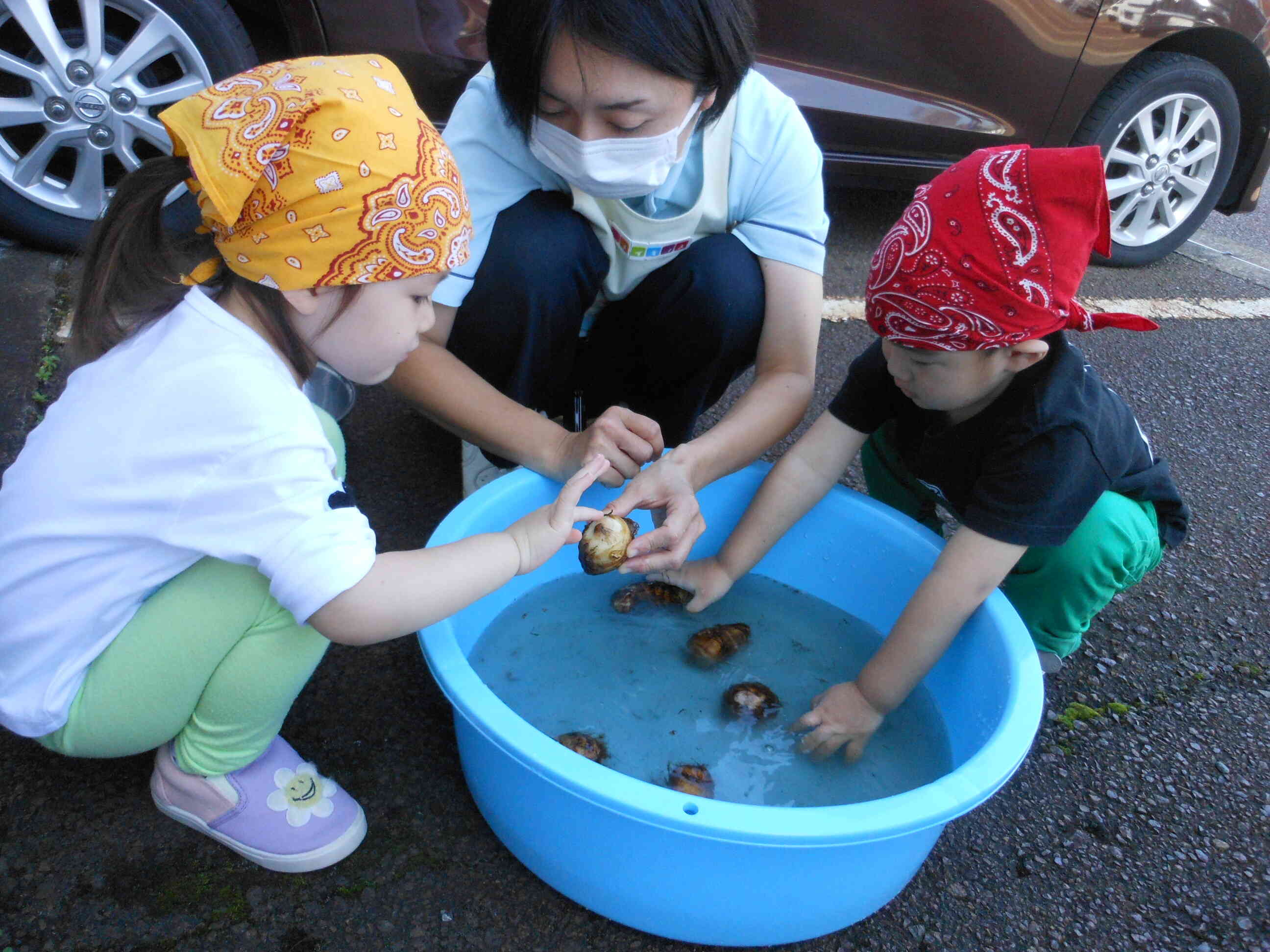 どんな感触かな？